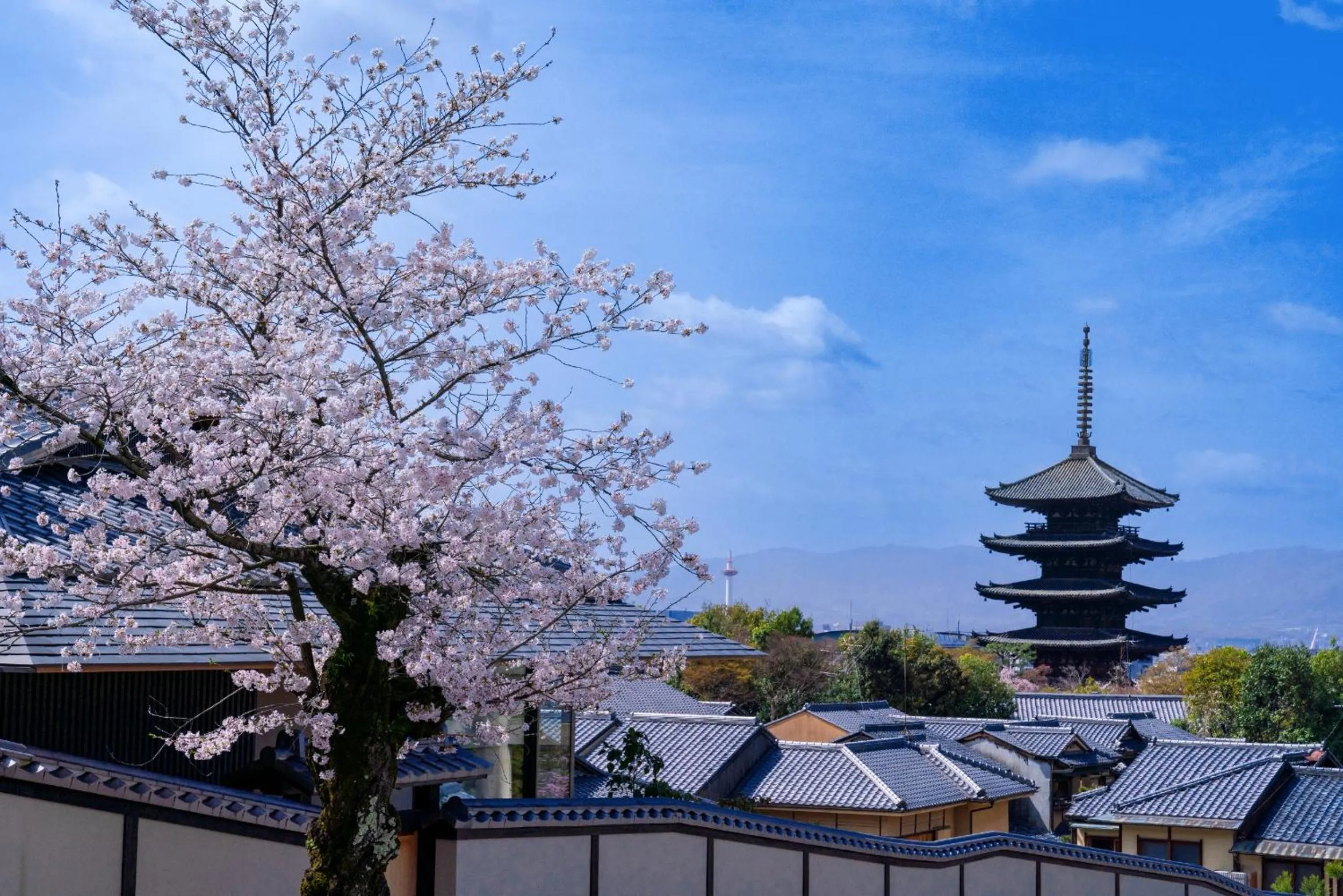Spring in OMO5 Kyoto Gion by Hoshino Resorts