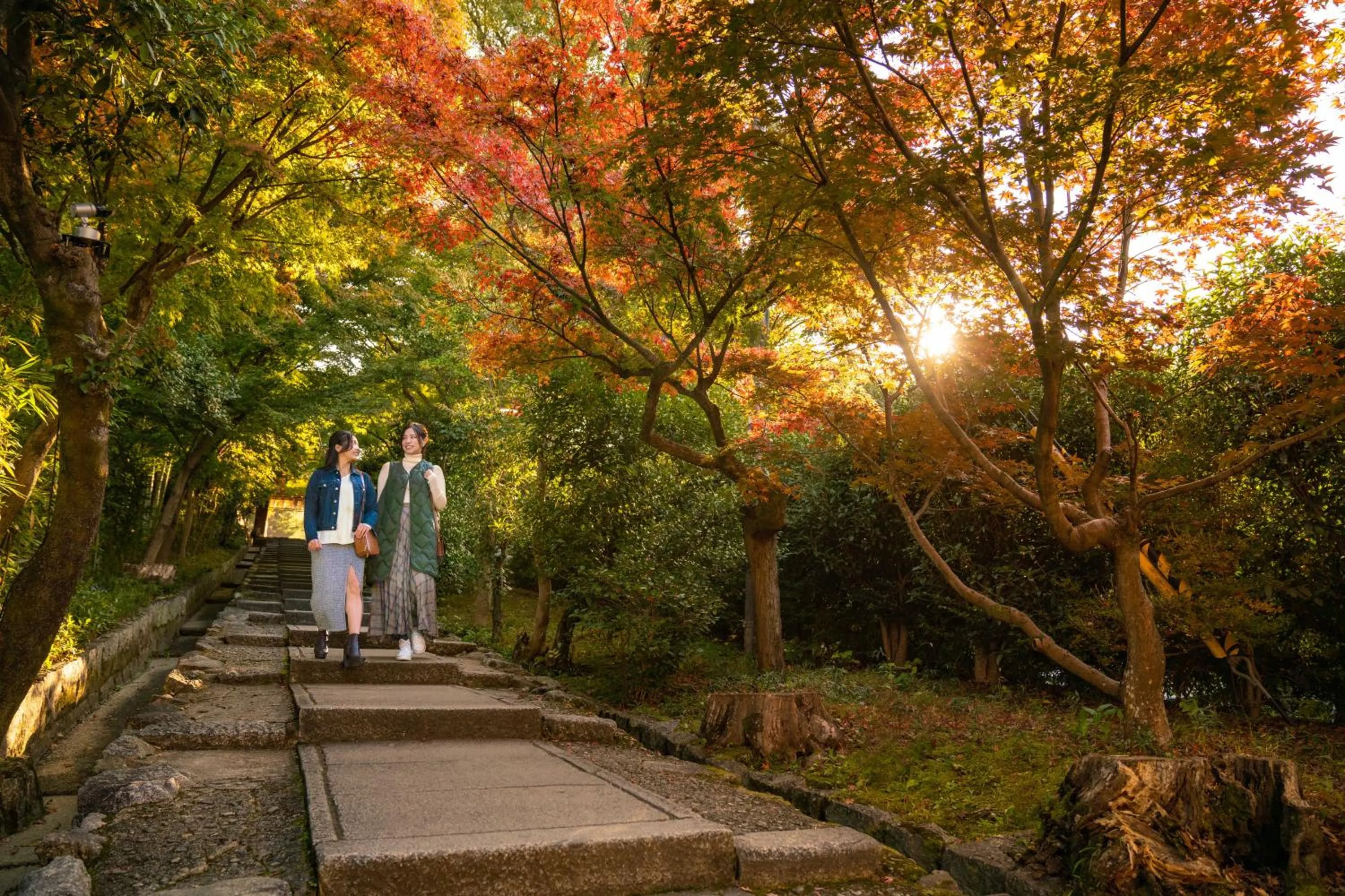 Nearby landmark in OMO5 Kyoto Gion by Hoshino Resorts