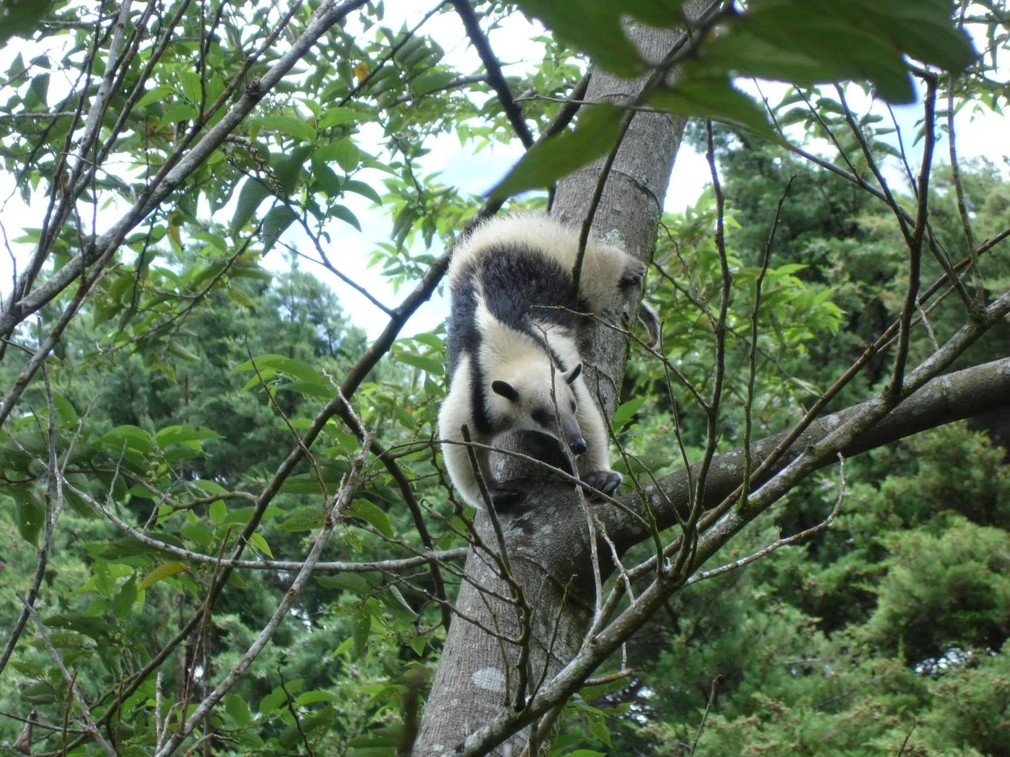 Garden in Los Pinos Cabins & Reserve