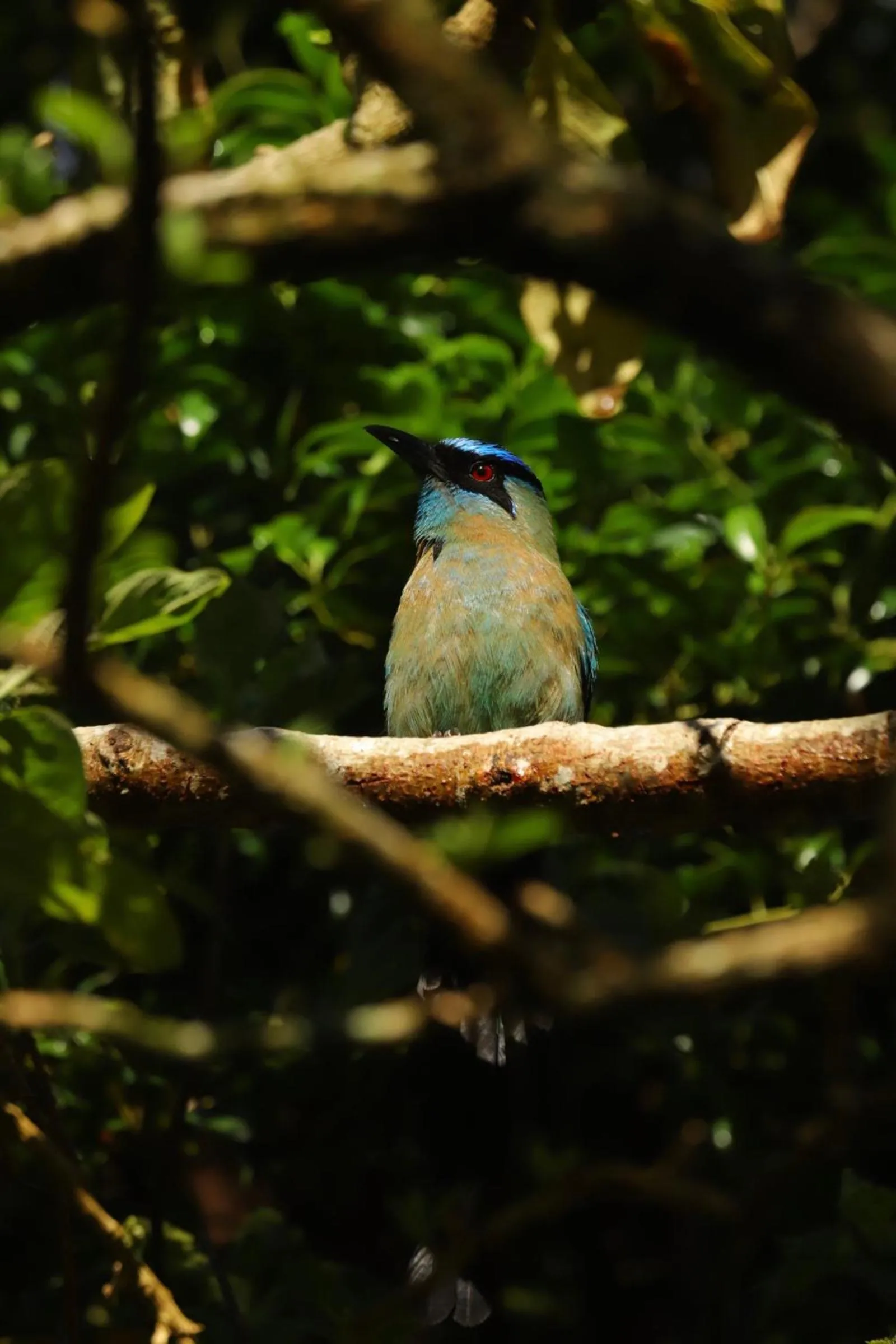 Animals in Los Pinos Cabins & Reserve