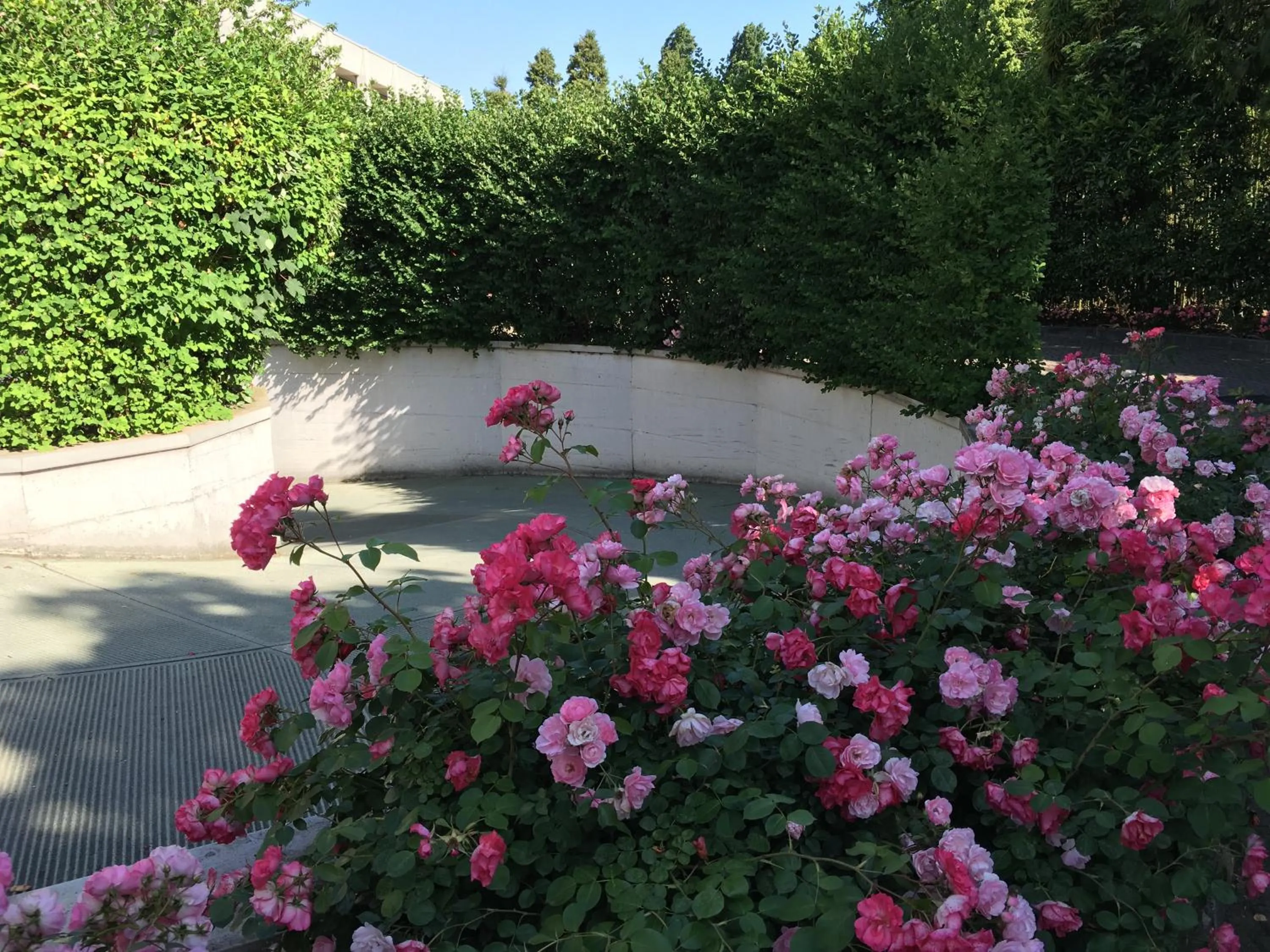 Garden view in Hotel Motel Ascot