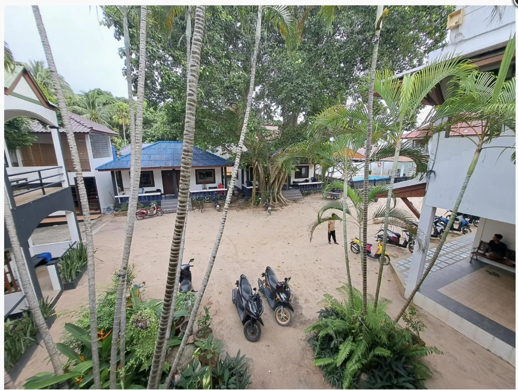 Garden view in Hydronauts Diving Resort - Koh Tao
