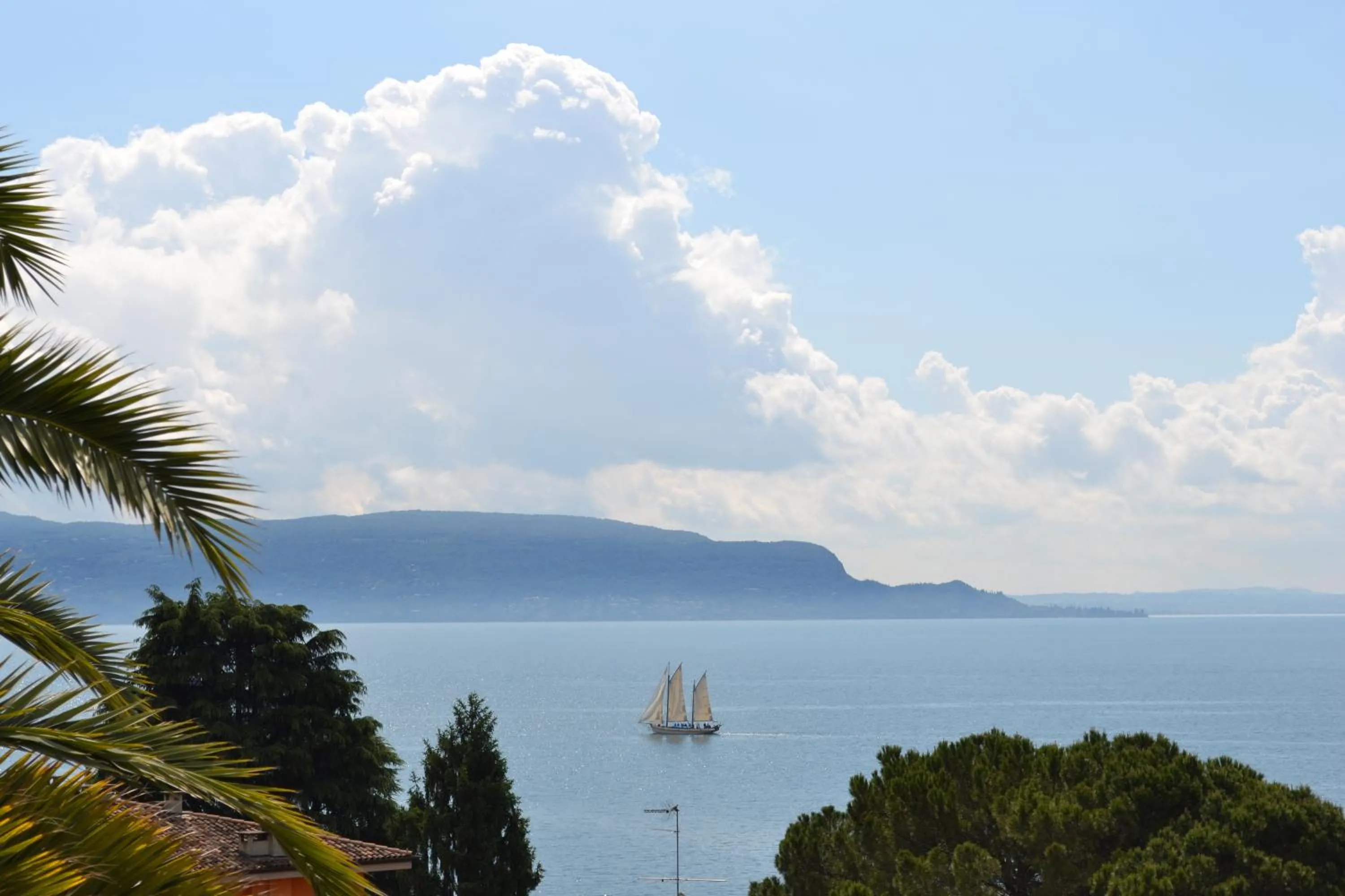 Natural landscape in Hotel Villa Florida & Suite Apartments