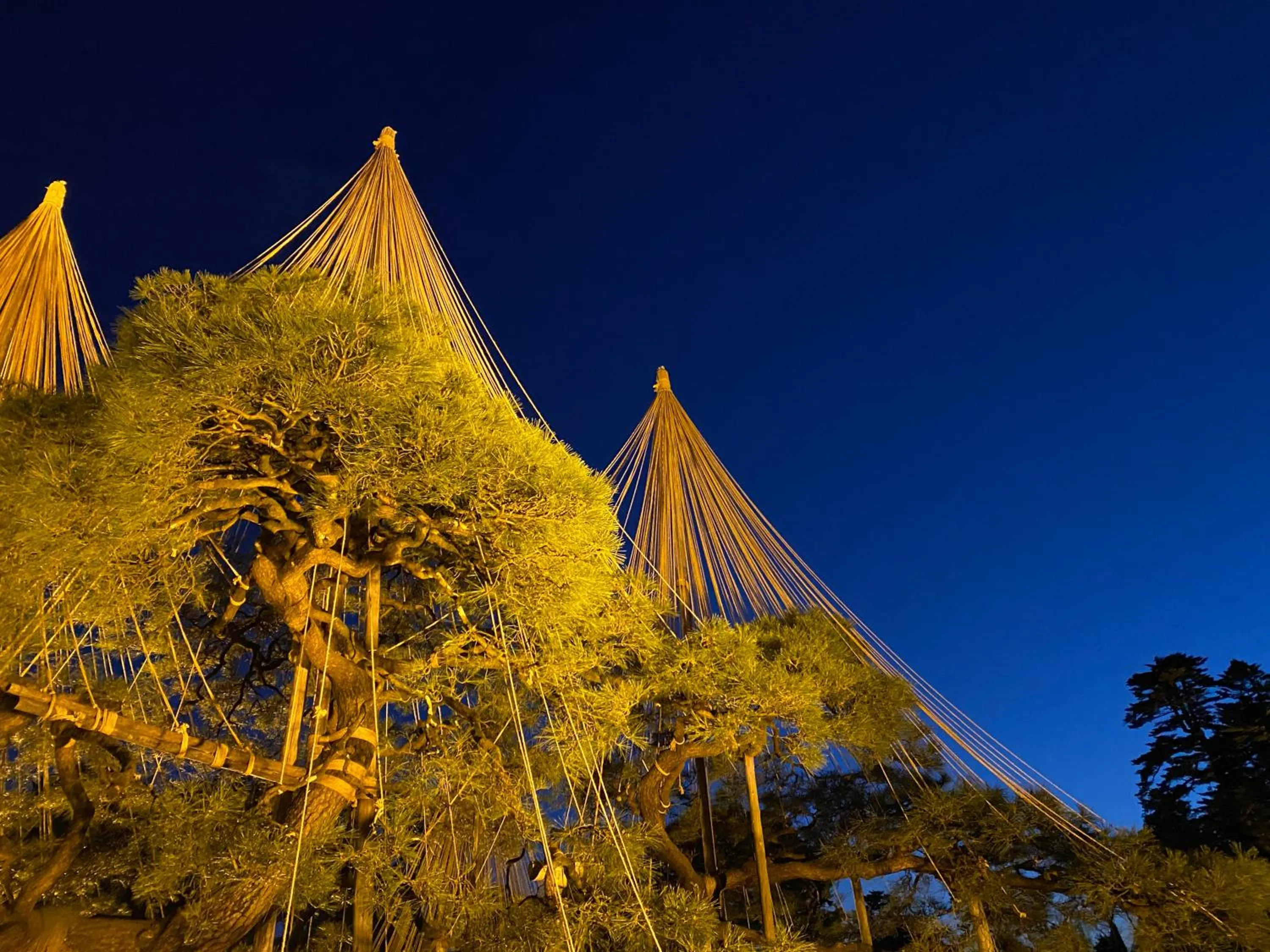 Nearby landmark in Kanazawa Hakuchoro Hotel Sanraku -Natural Hot Spring-