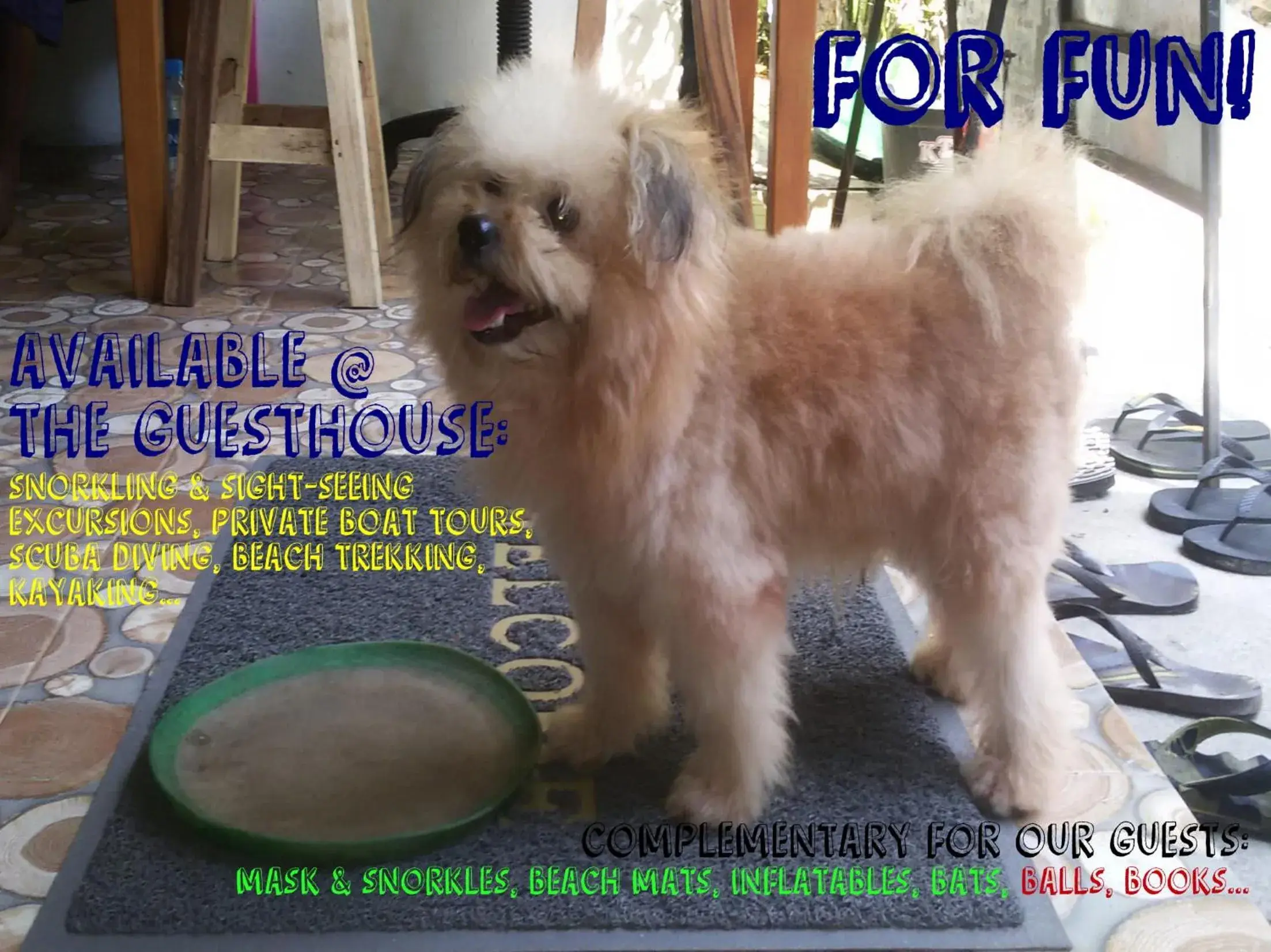 Lobby or reception in Kitty Guesthouse Lobby or reception in Kitty Guesthouse