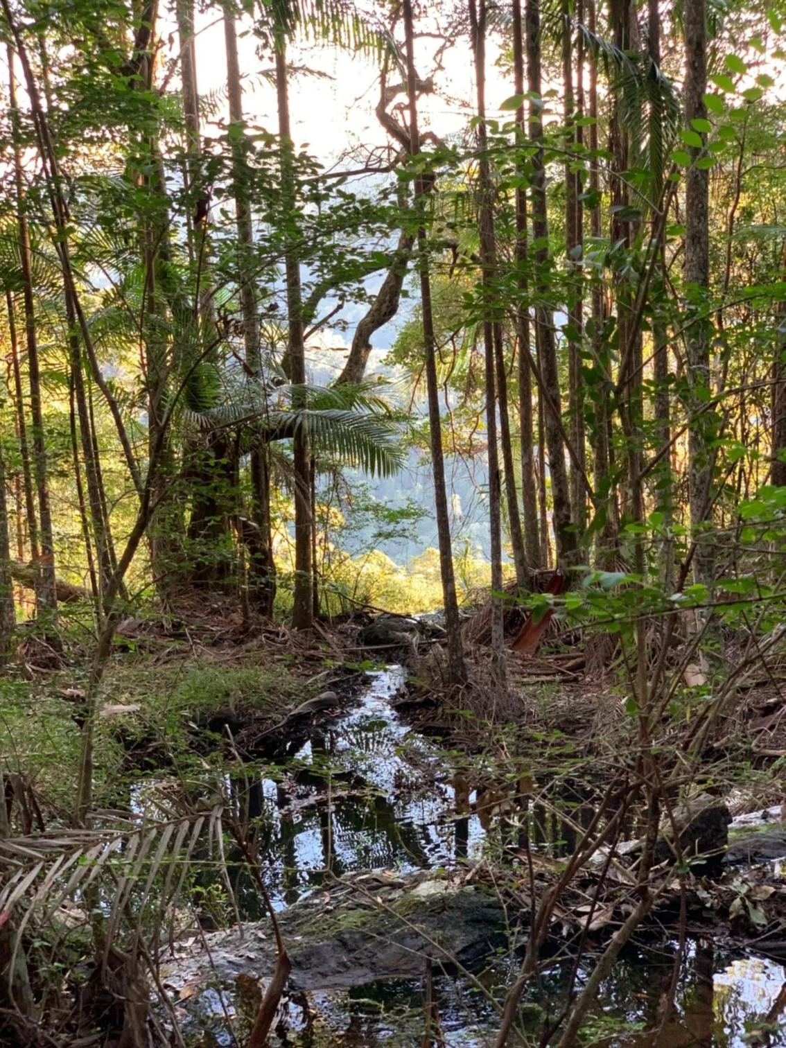 Natural landscape in Montville Country Cabins