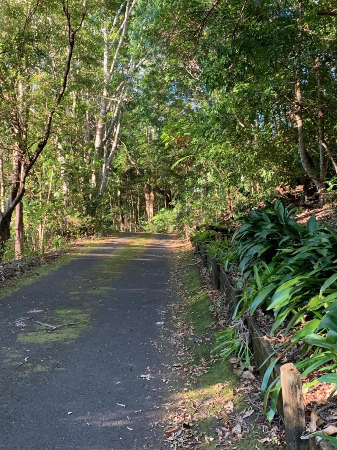 Natural landscape in Montville Country Cabins