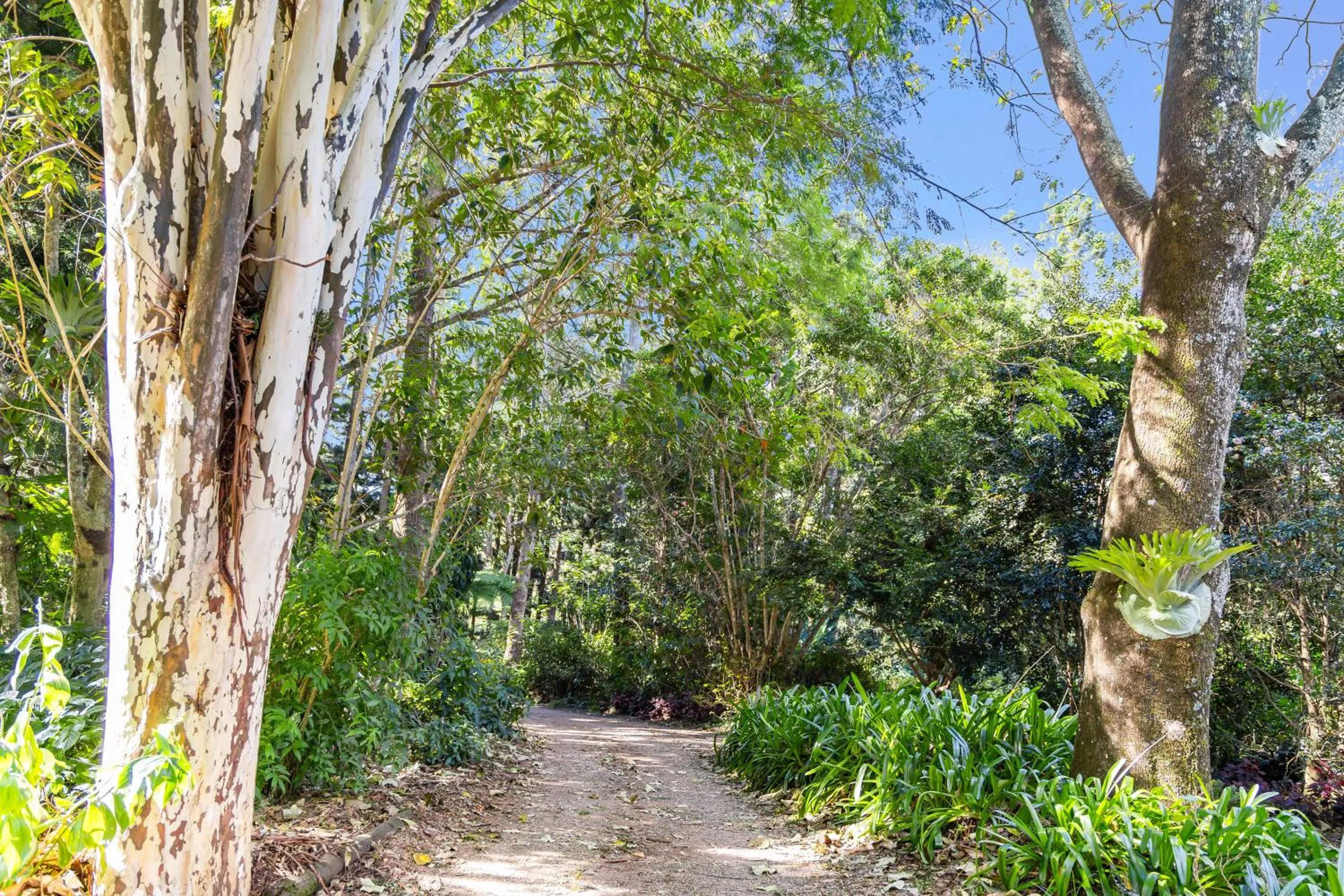 Natural landscape in Montville Country Cabins