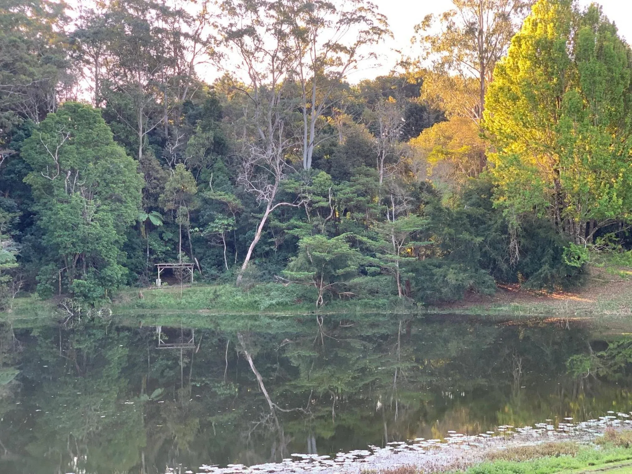 Natural landscape in Montville Country Cabins