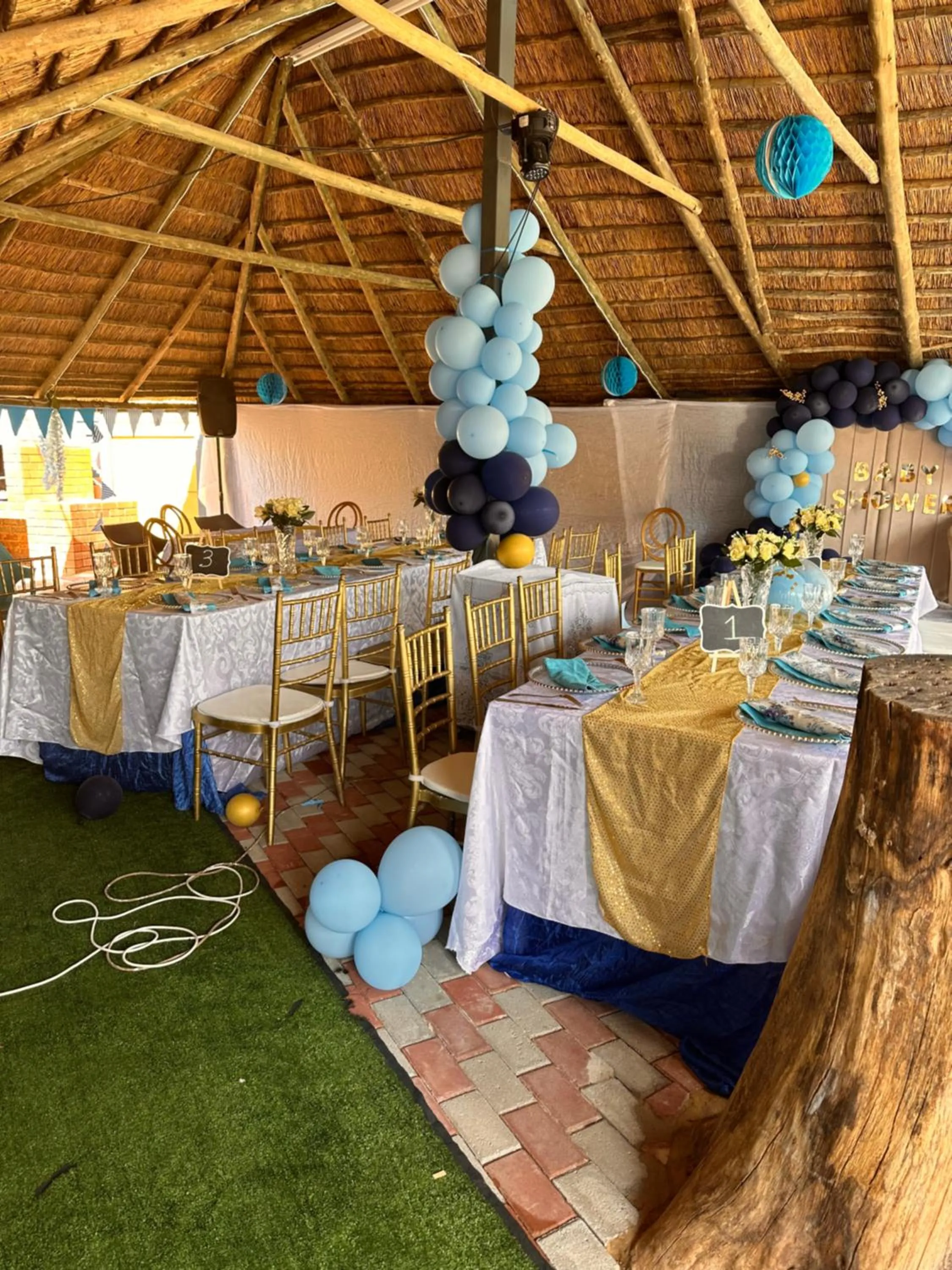 wedding in Platinum Guest lodge Germiston