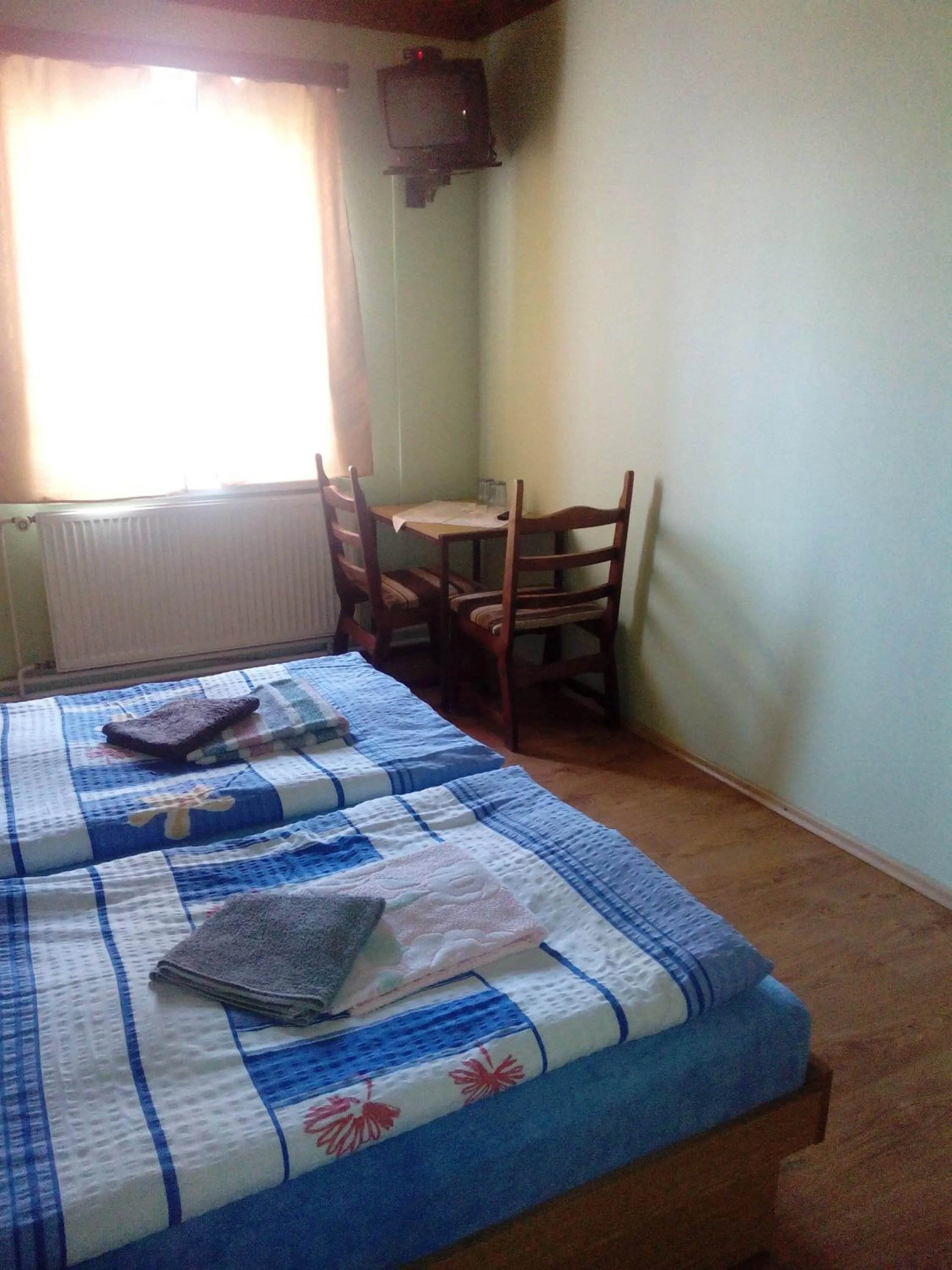 Double or Twin Room in Studánecký Medvěd