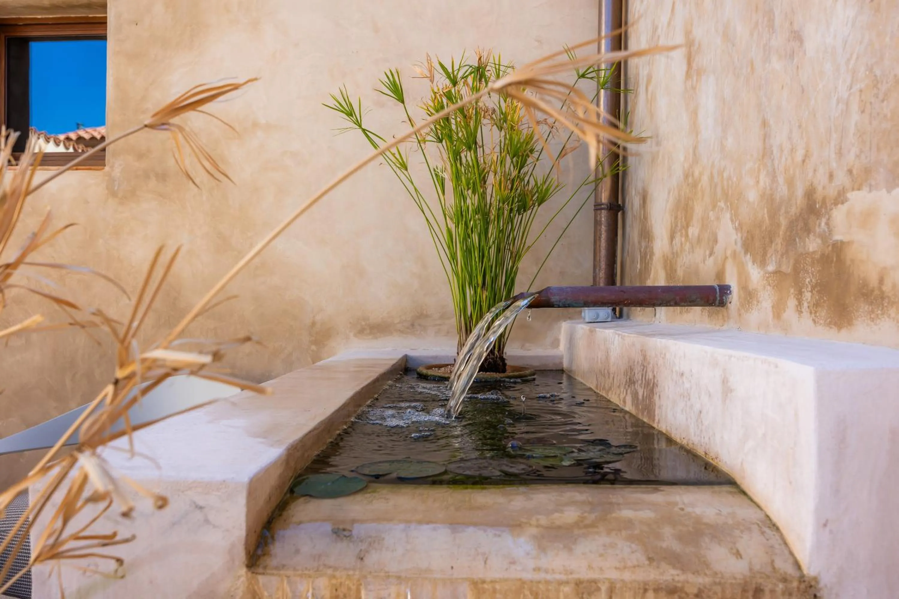 Garden in Juz de Yartan Art Hotel - Adults Only