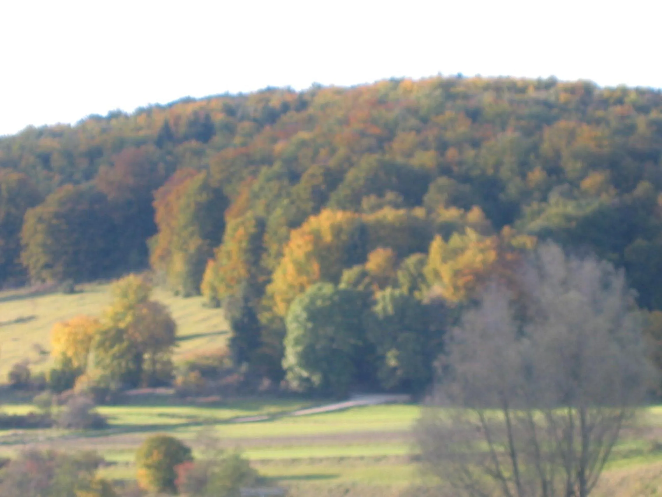Natural landscape in Gasthof zum Lamm