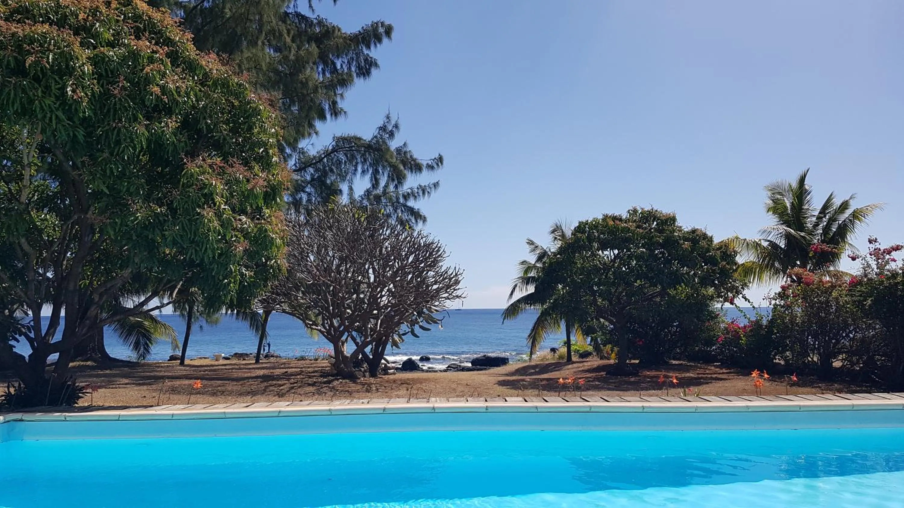 Pool view in Villa Osiris