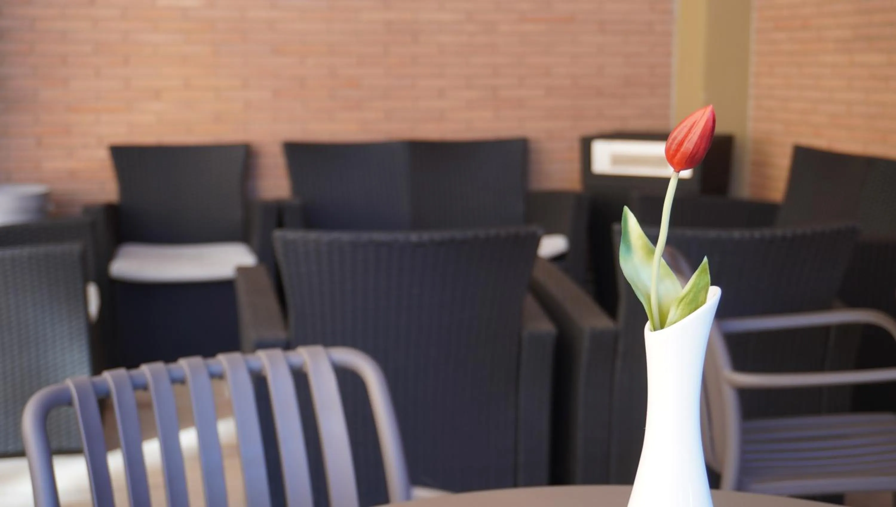 Seating area in Oasi San Francesco