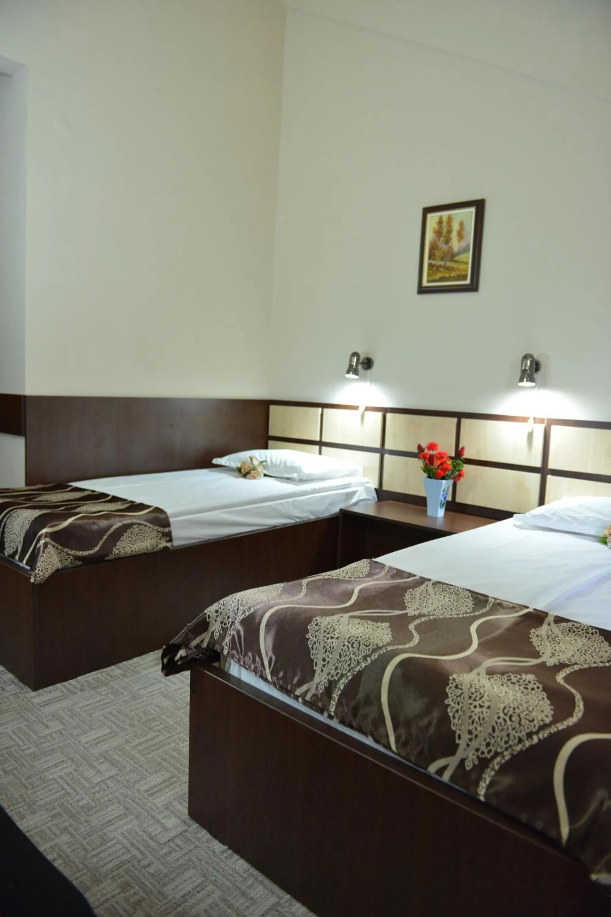 Classic Twin Room - single occupancy in Hotel Valahia