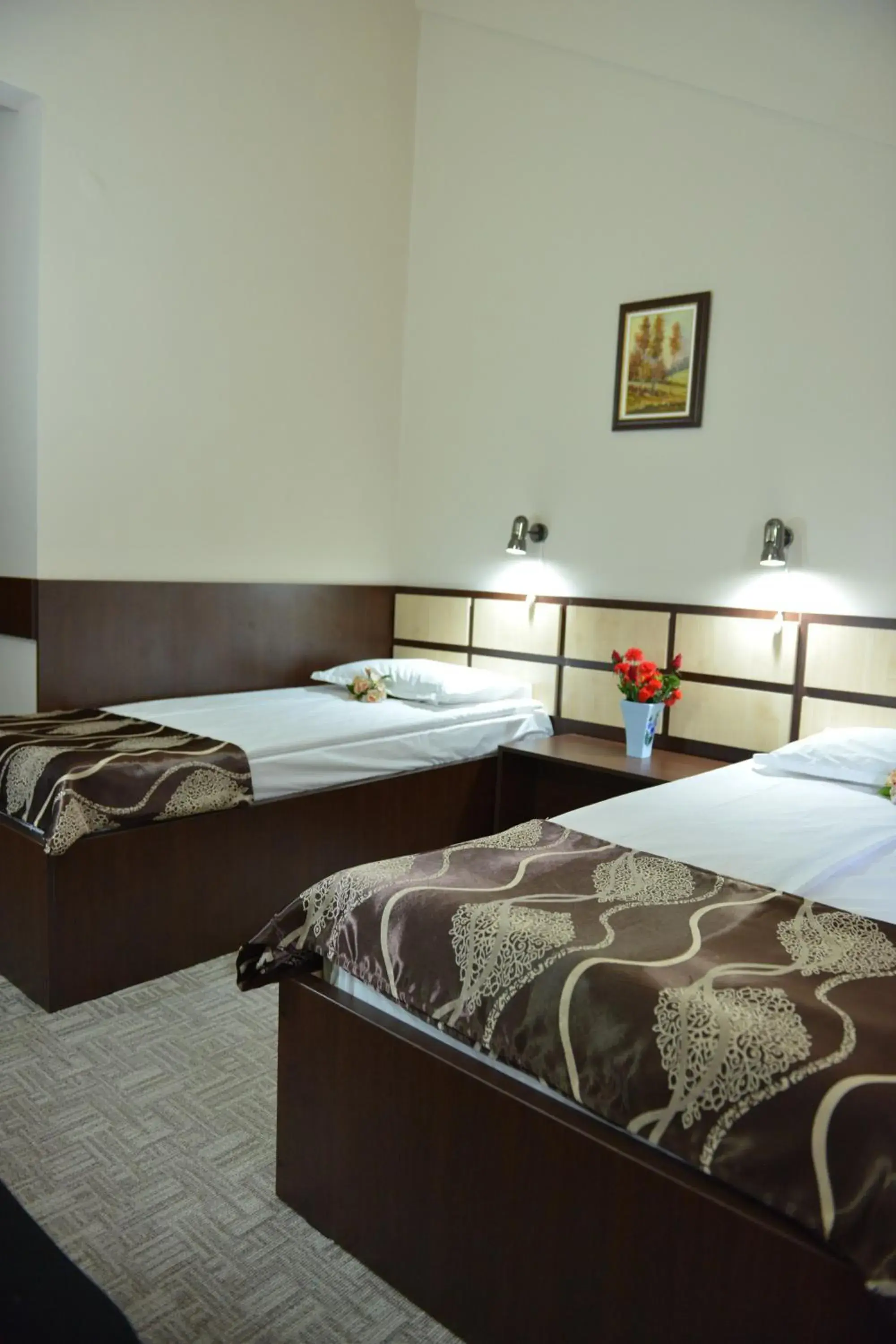 Classic Twin Room - single occupancy in Hotel Valahia Classic Twin Room - single occupancy in Hotel Valahia