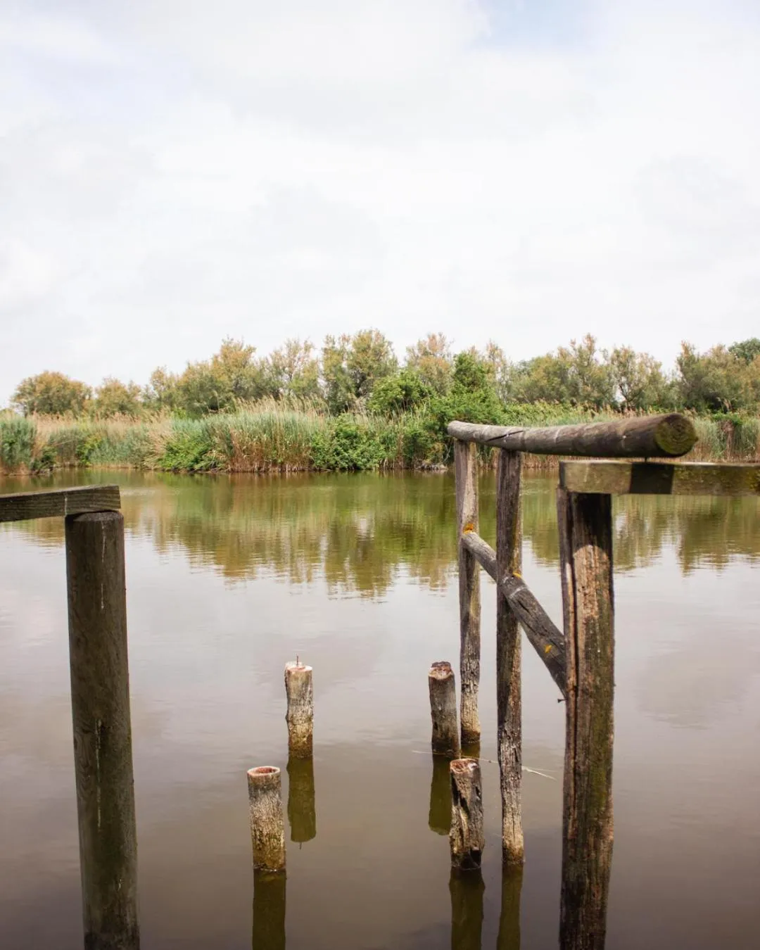 Natural landscape in Residenze Di La' Dal Fiume