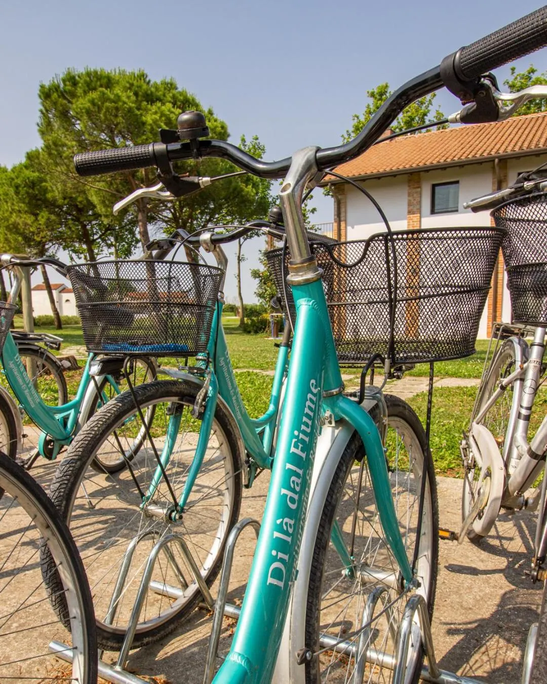 Cycling in Residenze Di La' Dal Fiume