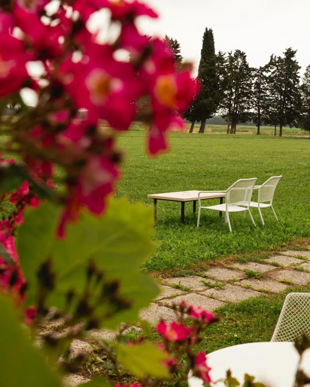 Natural landscape in Residenze Di La' Dal Fiume