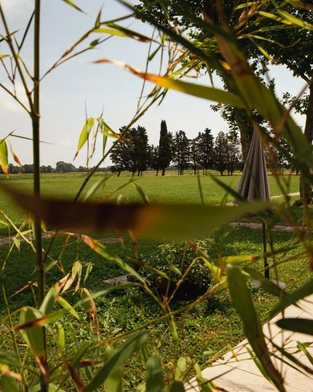 Natural landscape in Residenze Di La' Dal Fiume