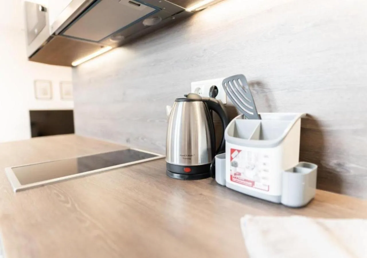 Kitchen or kitchenette in Hotel Triester