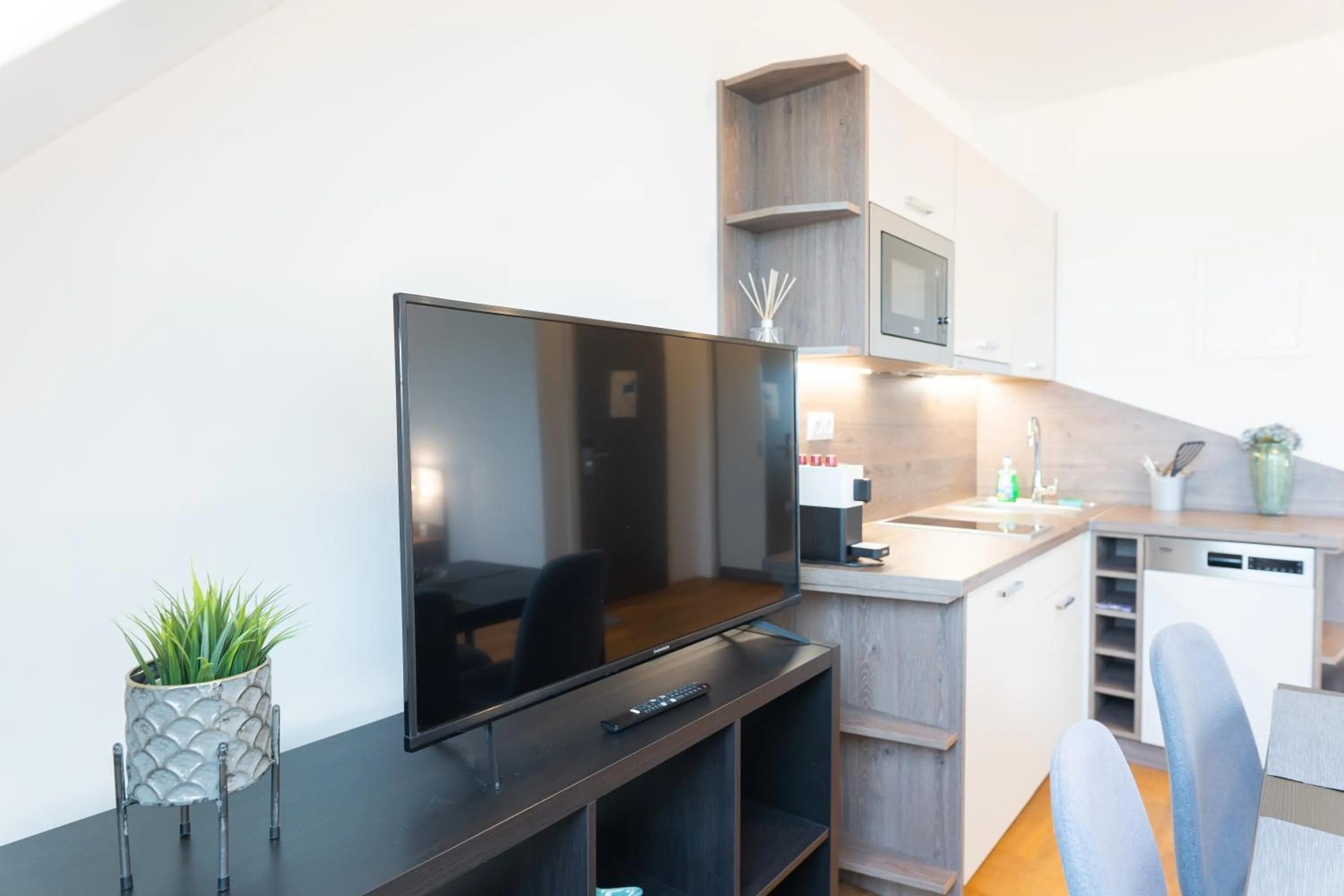 TV and multimedia in Hotel Triester