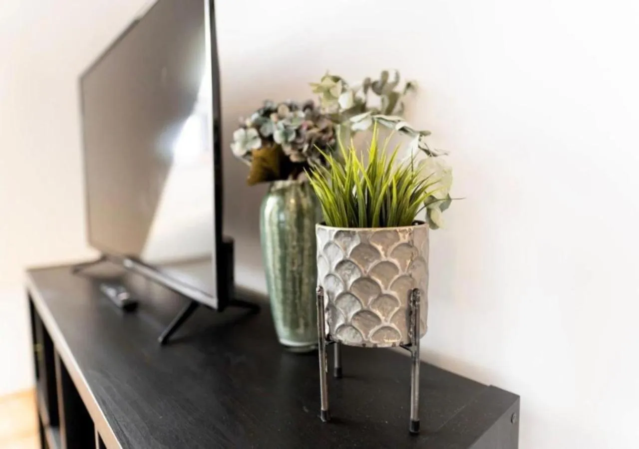 TV and multimedia in Hotel Triester