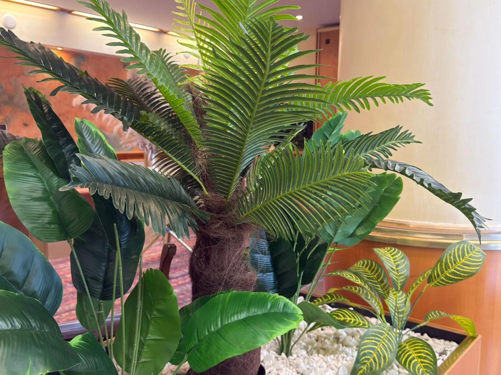 Natural landscape in Marko Polo Hotel