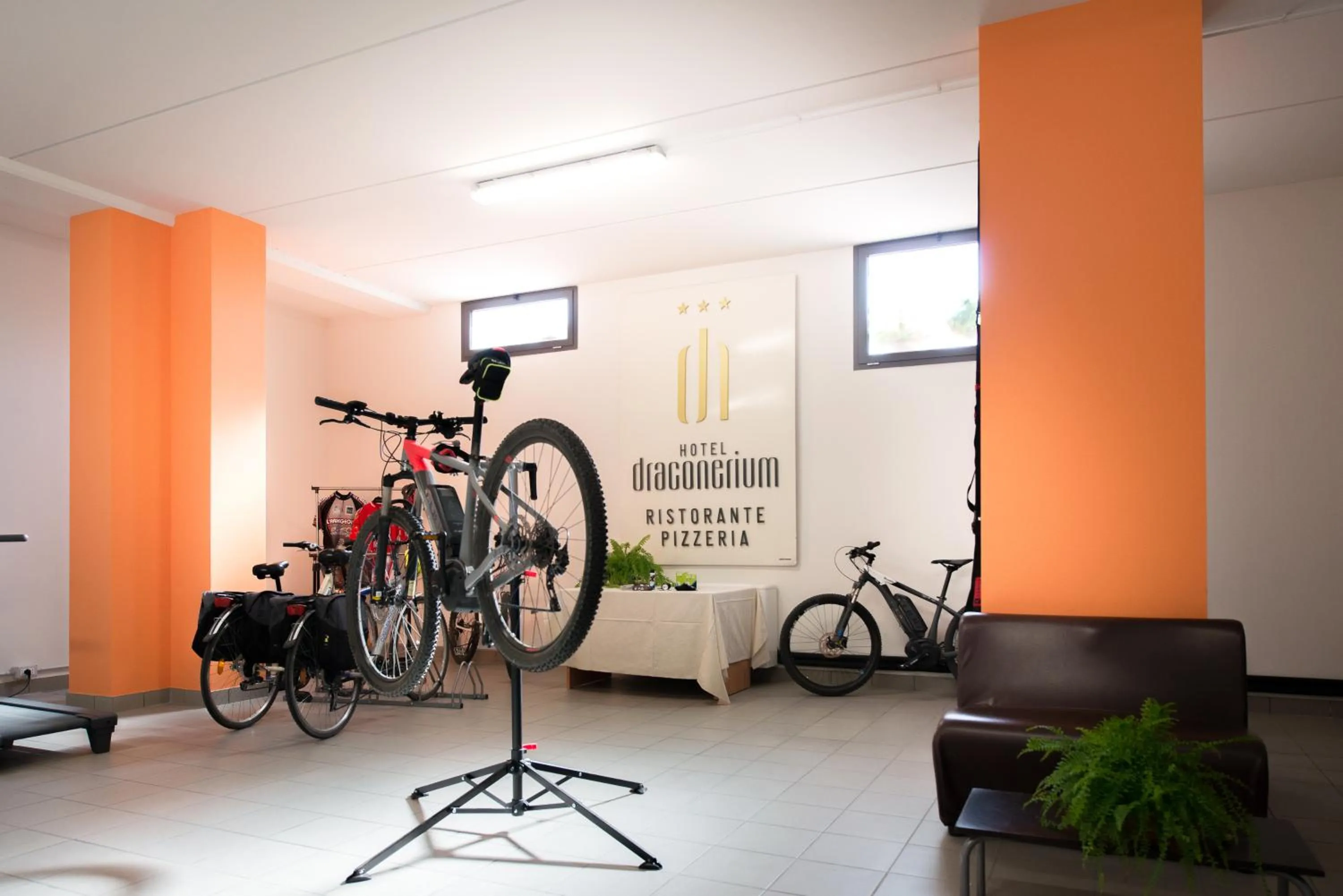 Activities in Draconerium Hotel