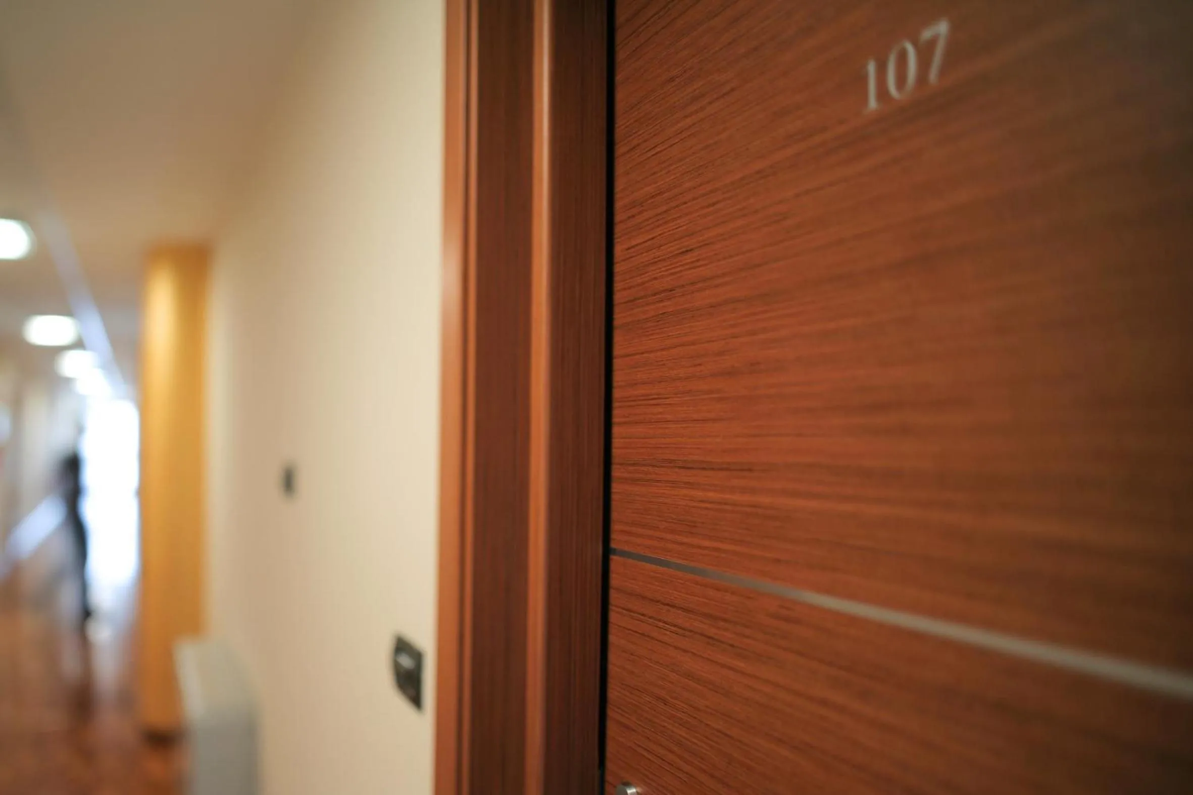 Area and facilities in Draconerium Hotel