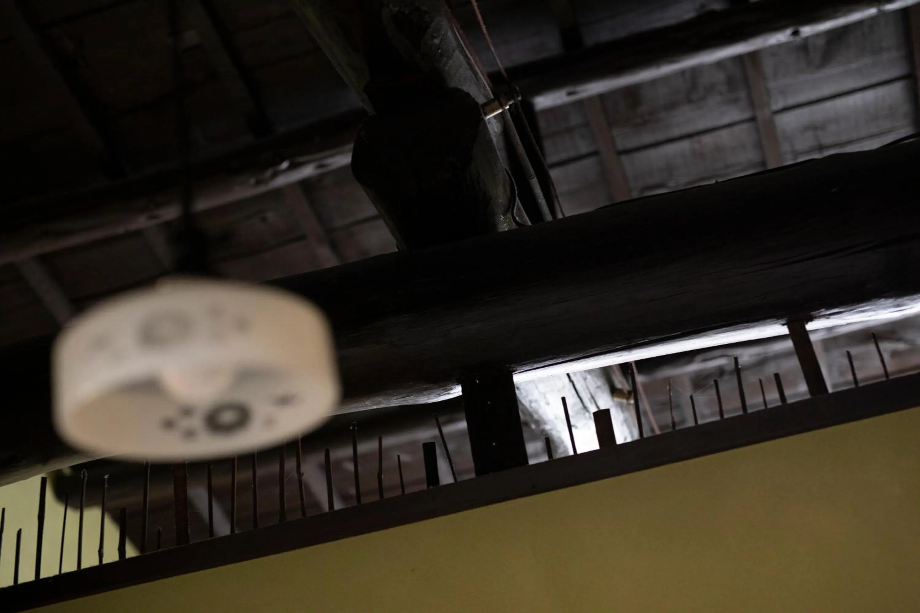 Area and facilities in naokonoza Bettei Umekoji