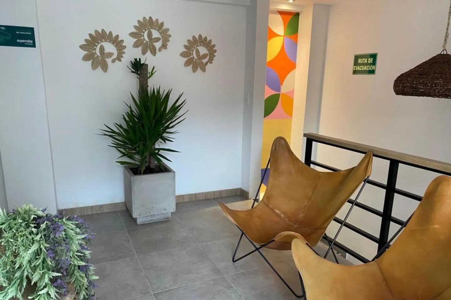 Area and facilities in Hotel Medallo City