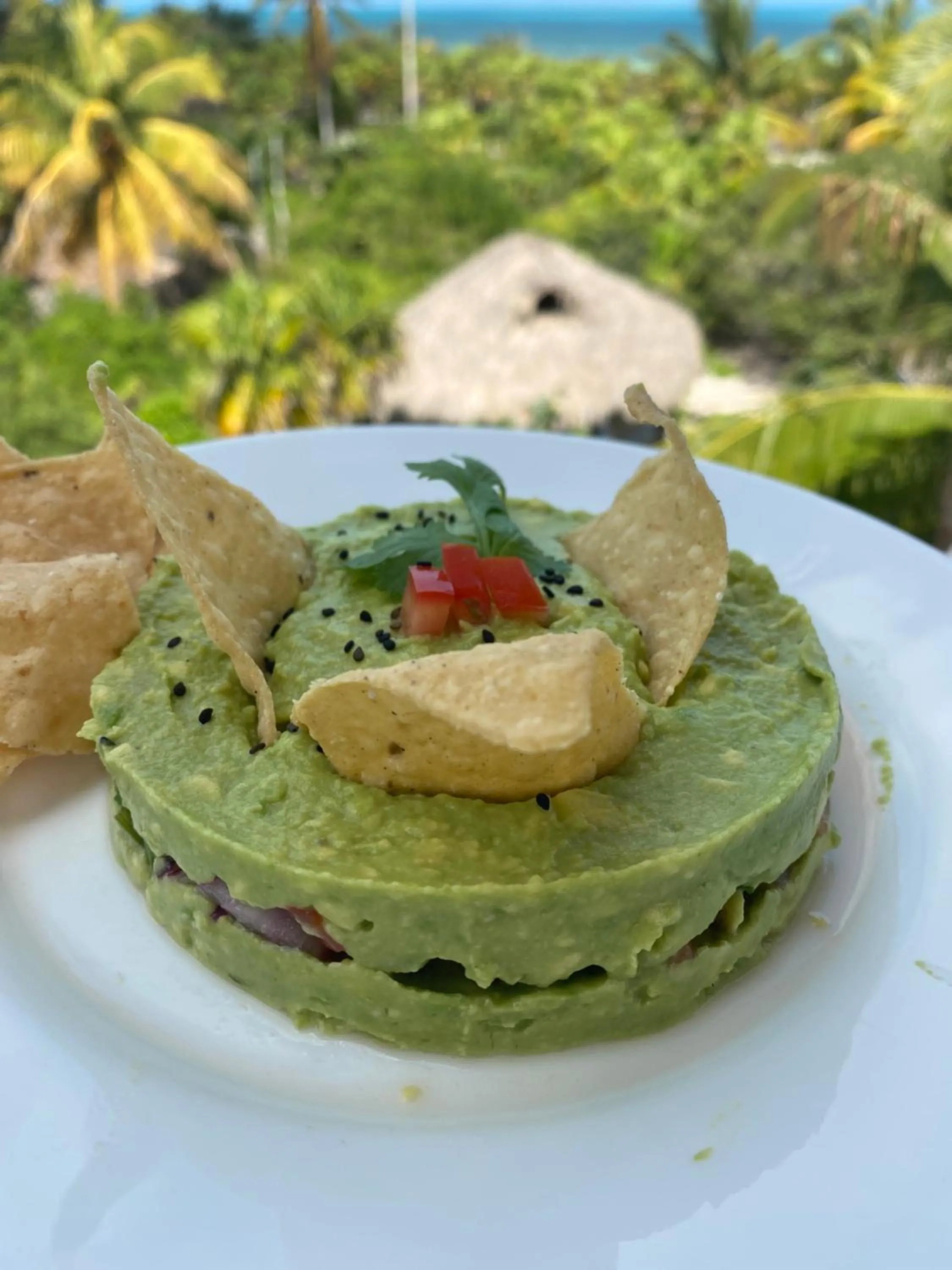 Restaurant/places to eat in Casa Mia El Cuyo Eco Beach Boutique Hotel