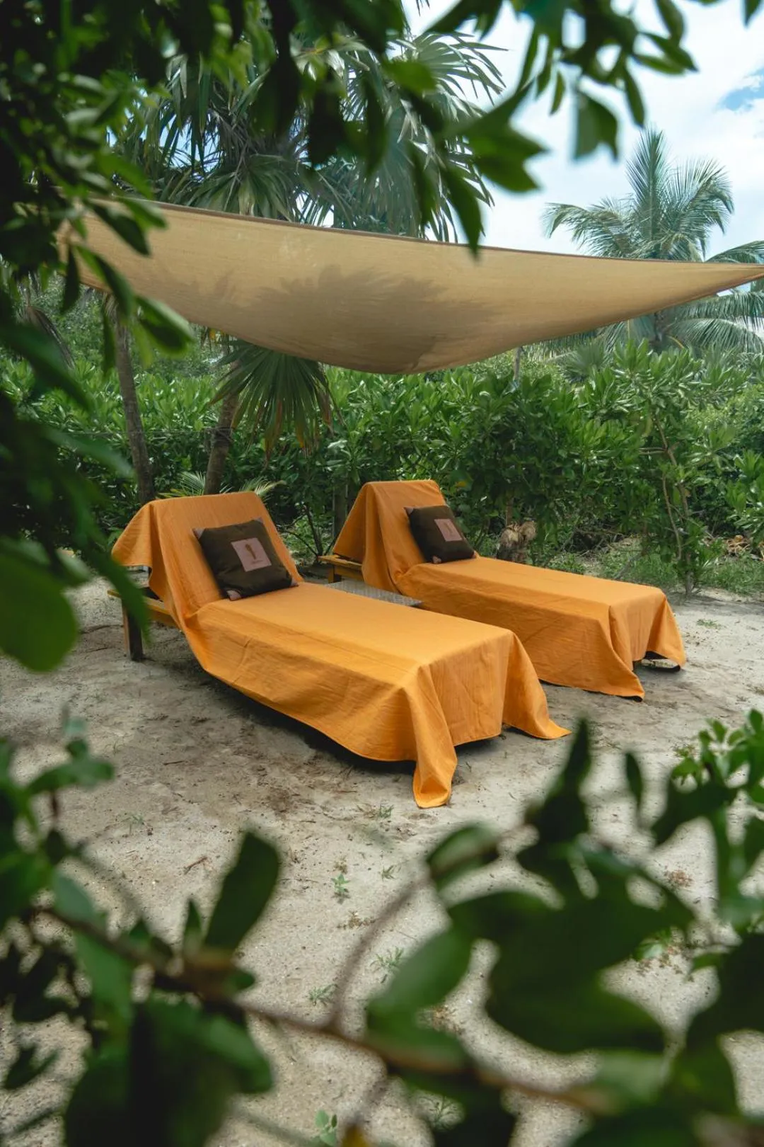 Garden in Casa Mia El Cuyo Eco Beach Boutique Hotel