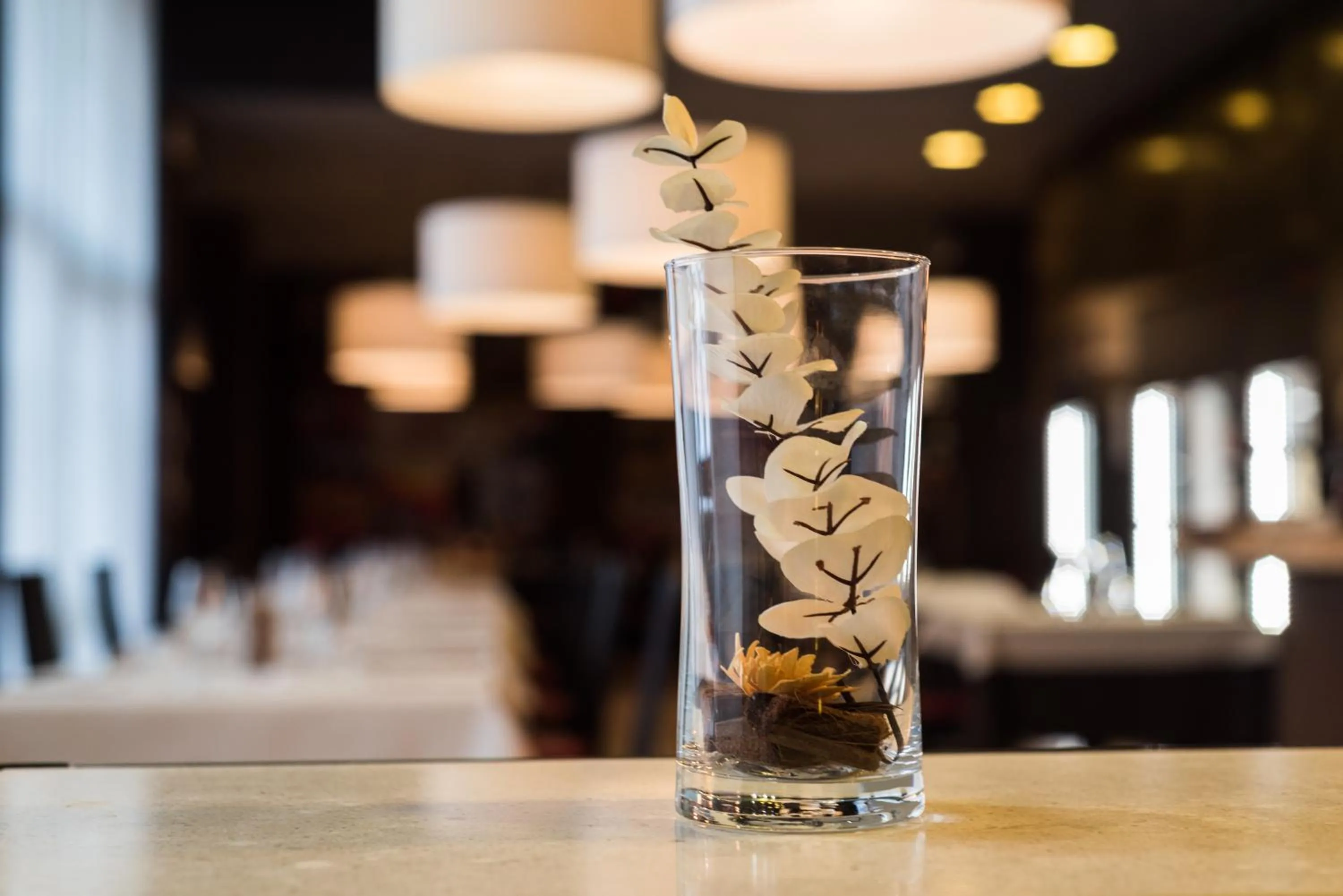 Restaurant/places to eat in Hotel Capital