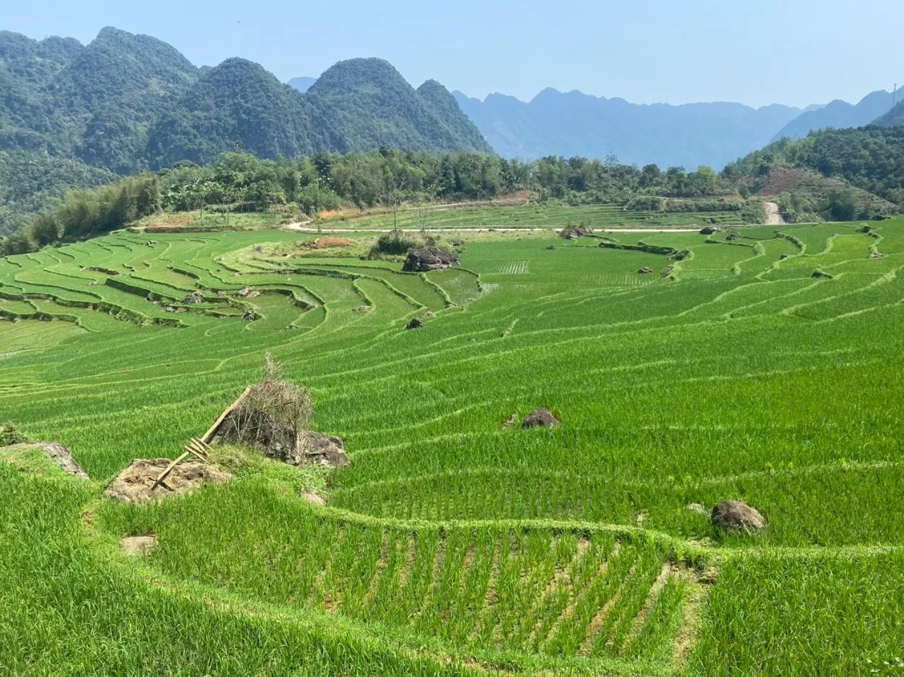Natural landscape in Pu Luong May Home & Cafe