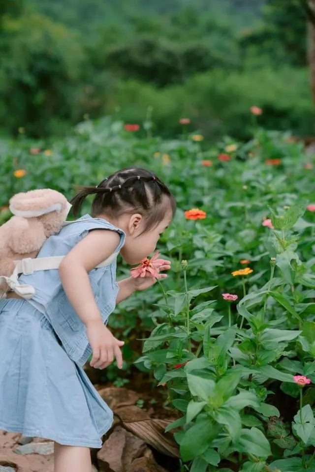Garden in Pu Luong May Home & Cafe