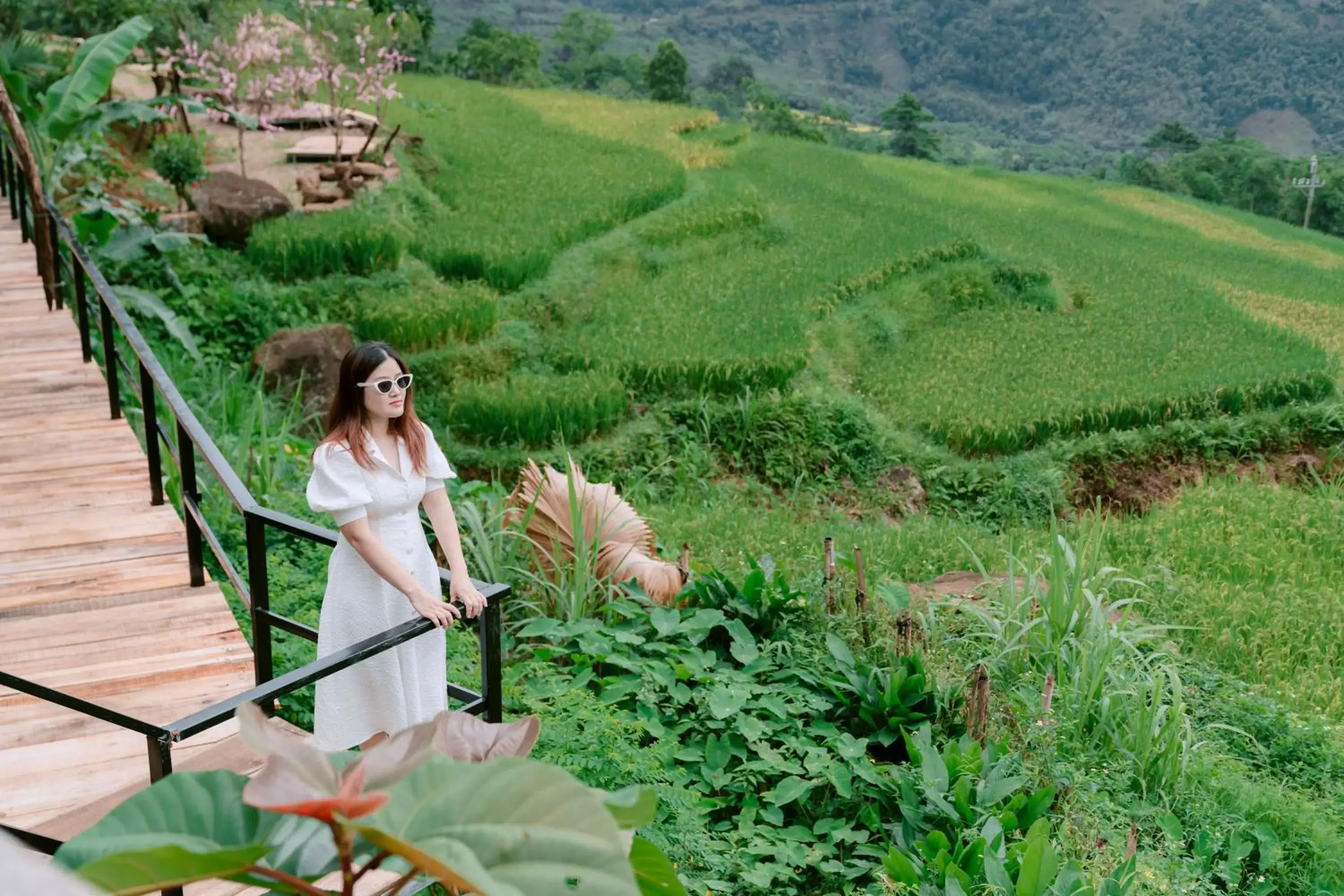 View (from property/room) in Pu Luong May Home & Cafe View (from property/room) in Pu Luong May Home & Cafe