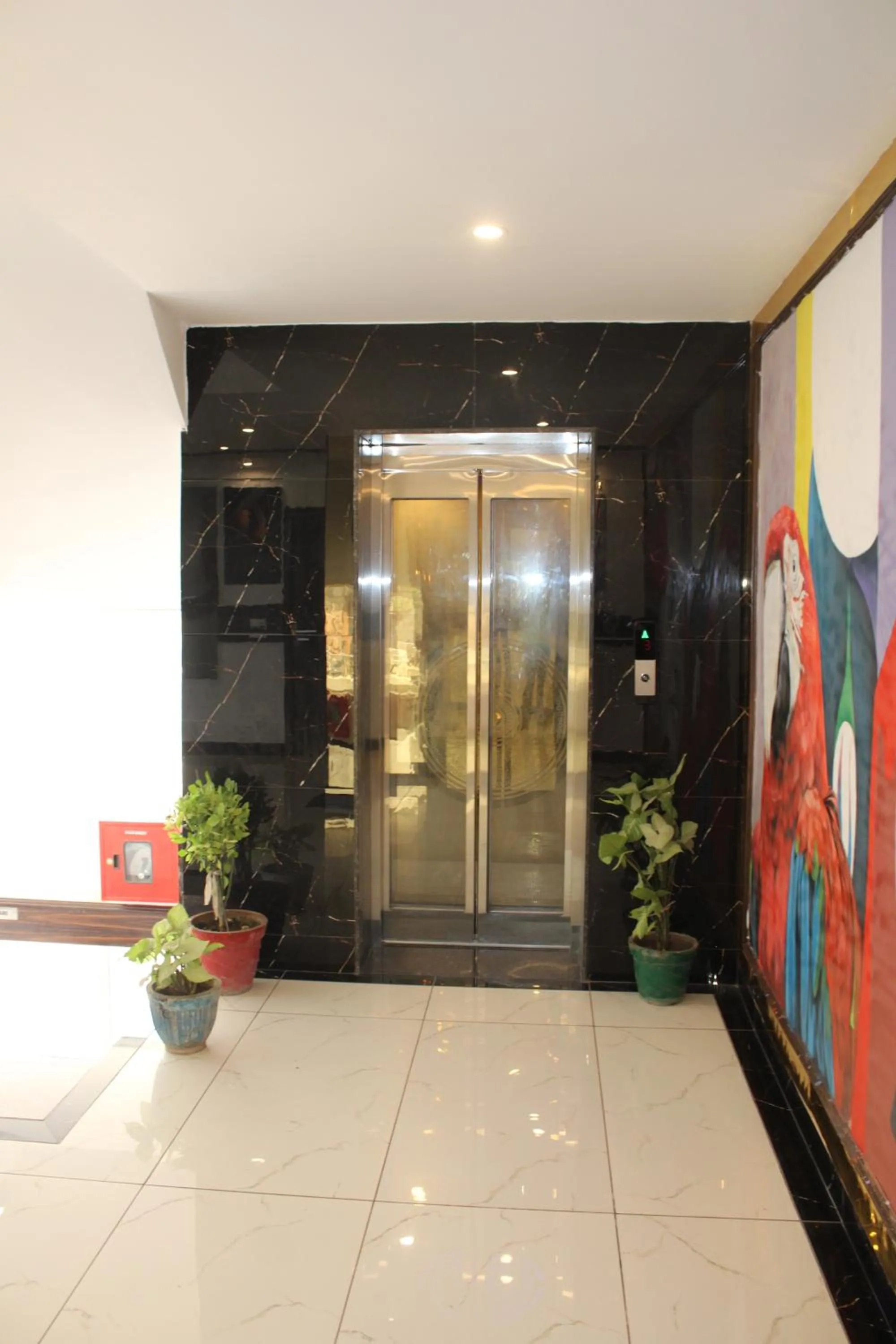 elevator in Hotel Red Apple Near Railway Station Chandigarh
