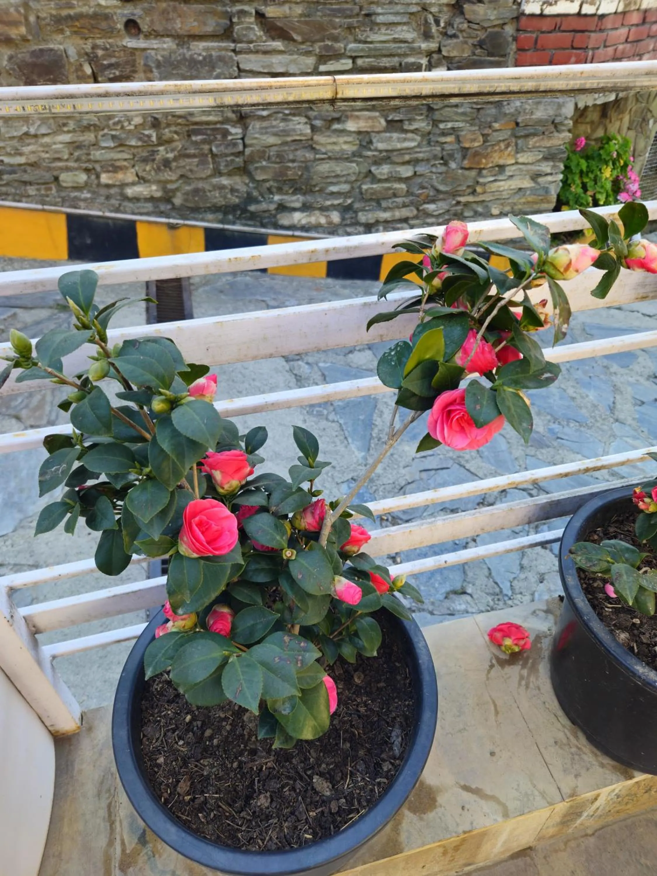 Property building in Hotel Red Apple Near Railway Station Chandigarh