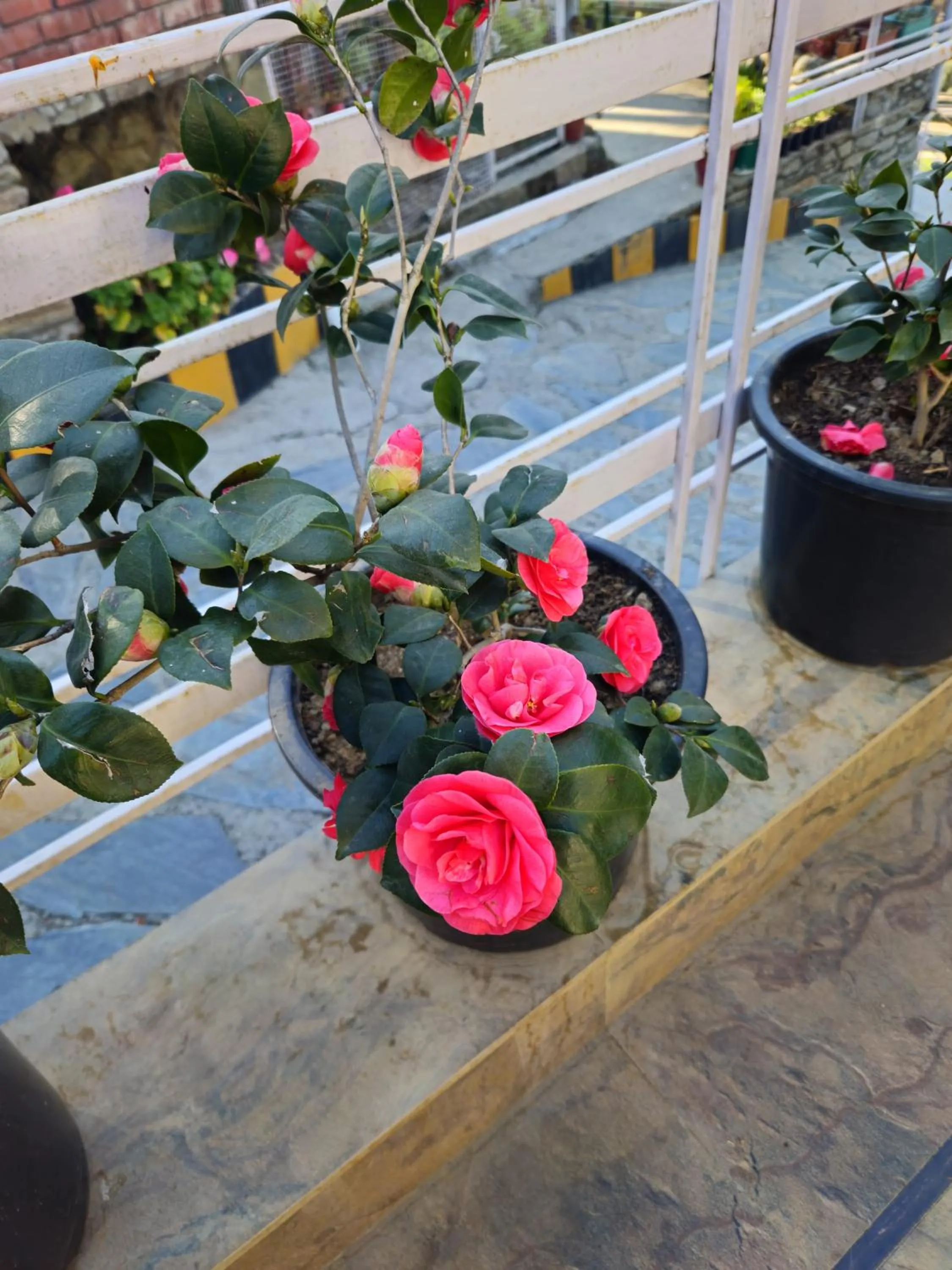 Property building in Hotel Red Apple Near Railway Station Chandigarh