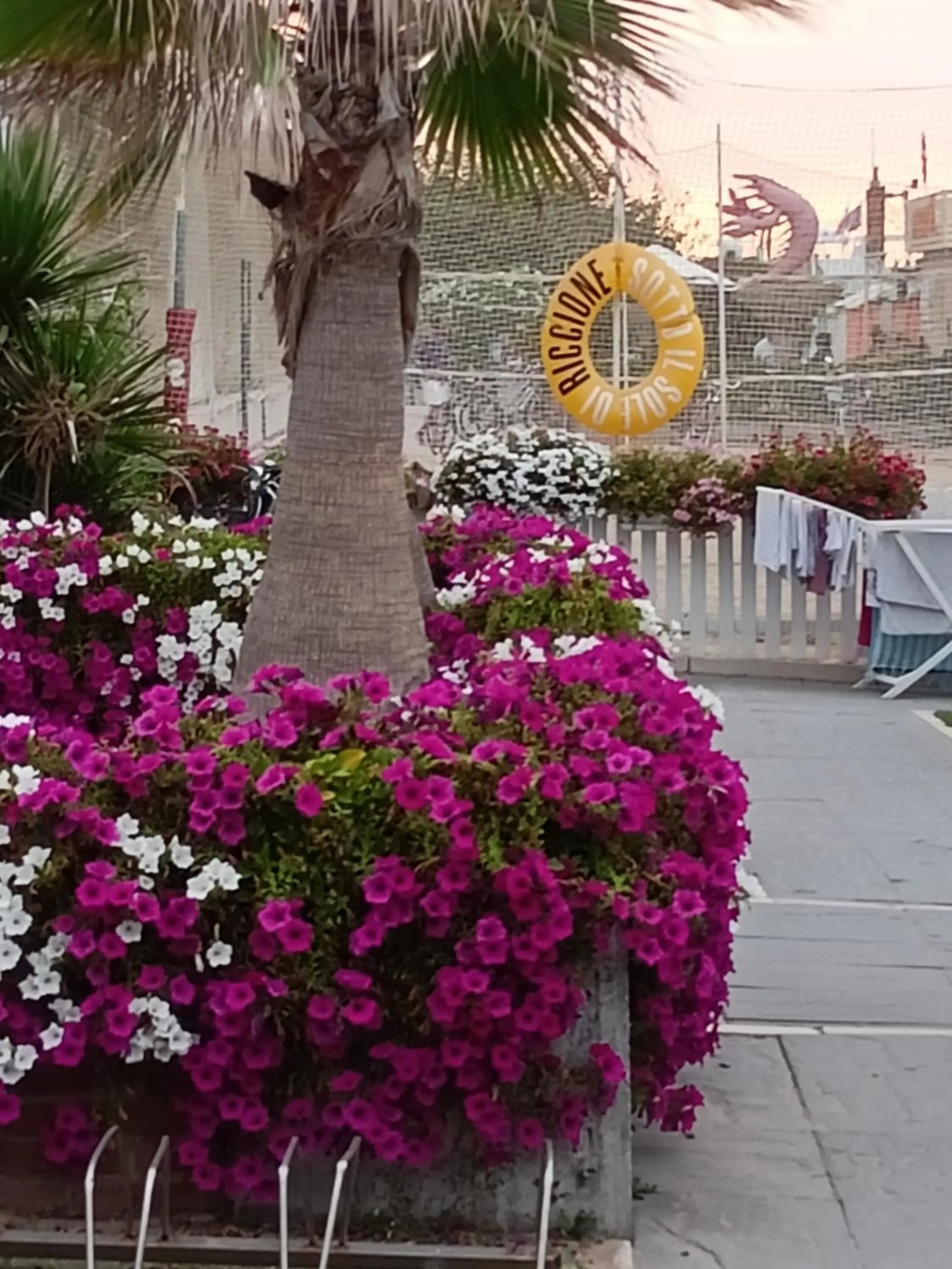 Beach in Hotel Ascot Riccione