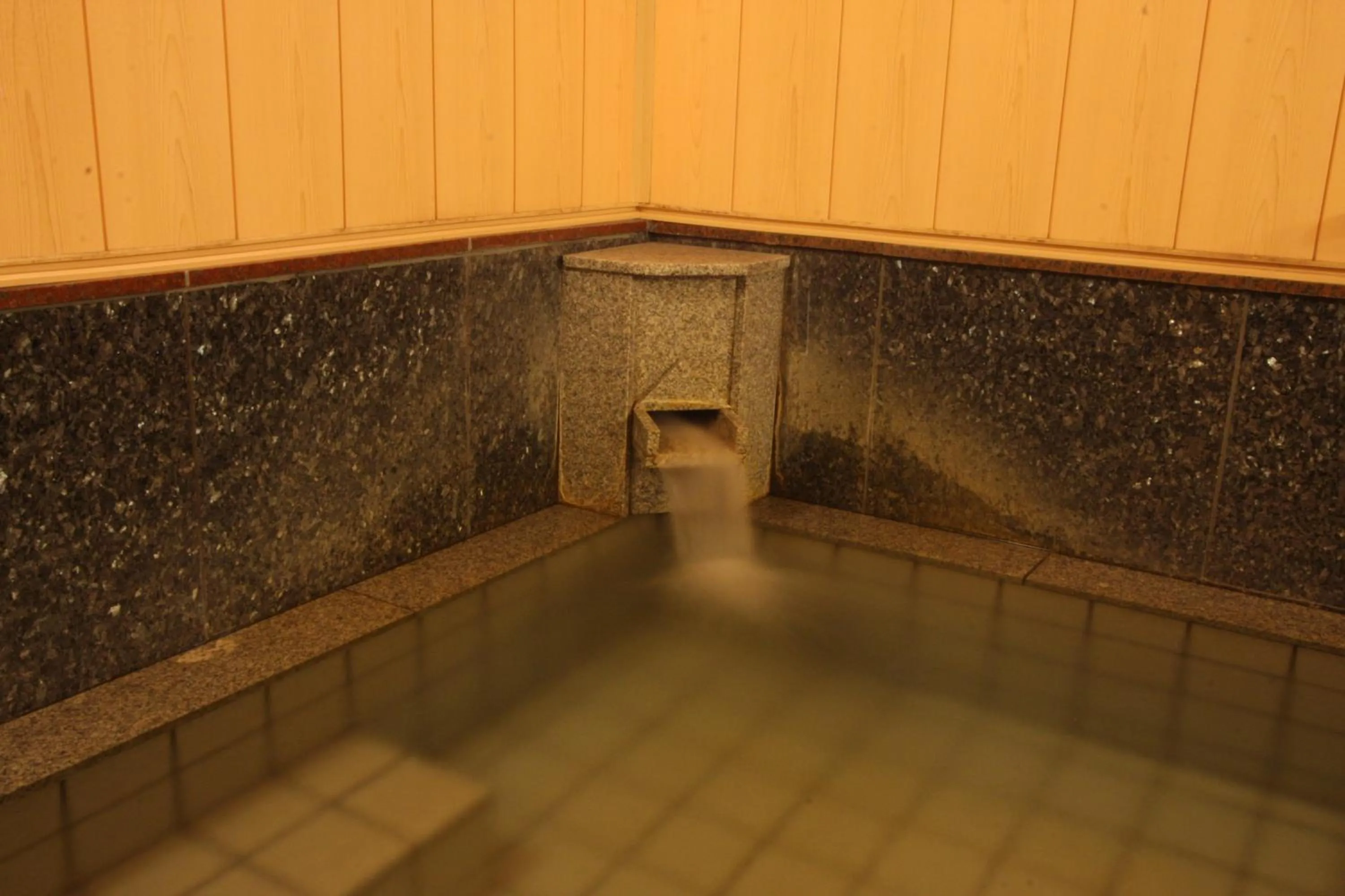 Hot Spring Bath in Kawahiro