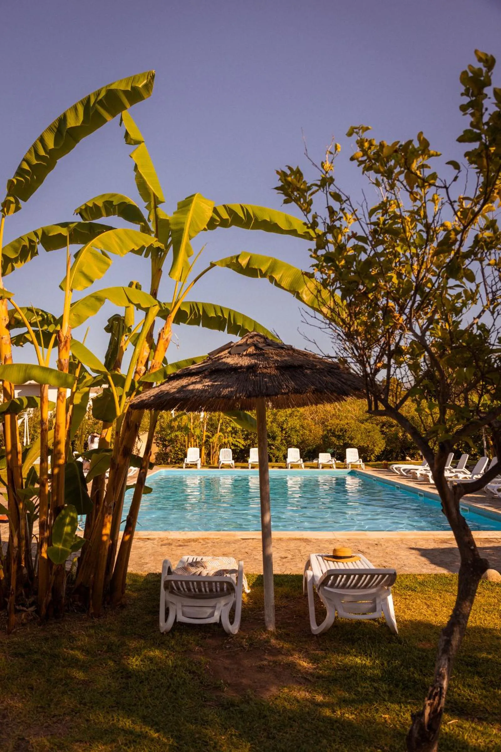 Pool view in Agriturismo Villa Cefalà