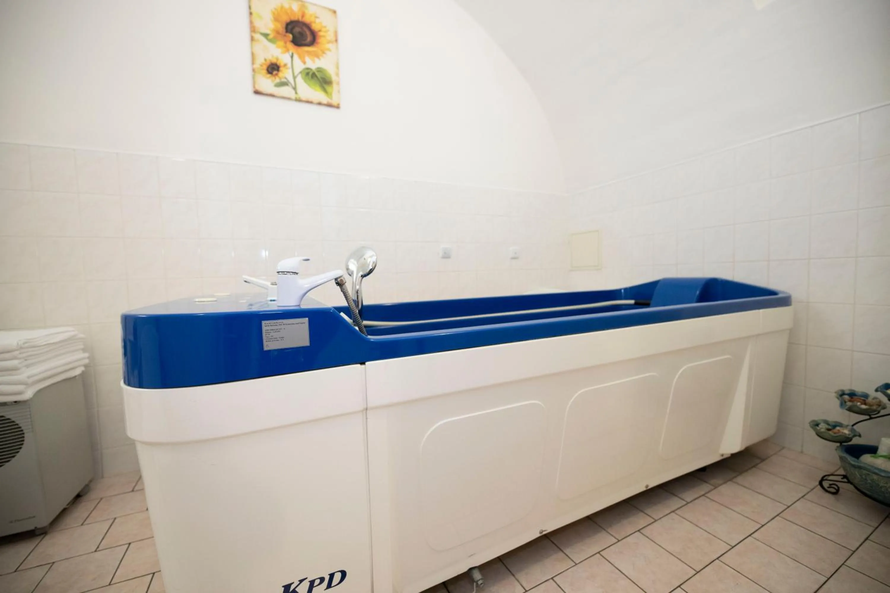 Spa and wellness centre/facilities in Hotel Paris