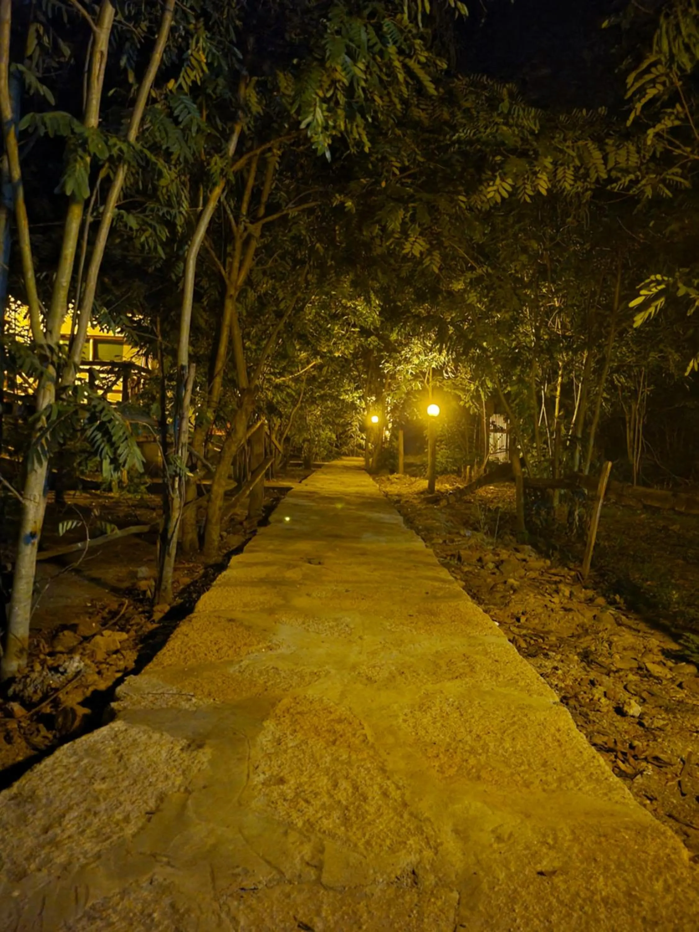 Night in Songbird Safari Lodge & Campsite