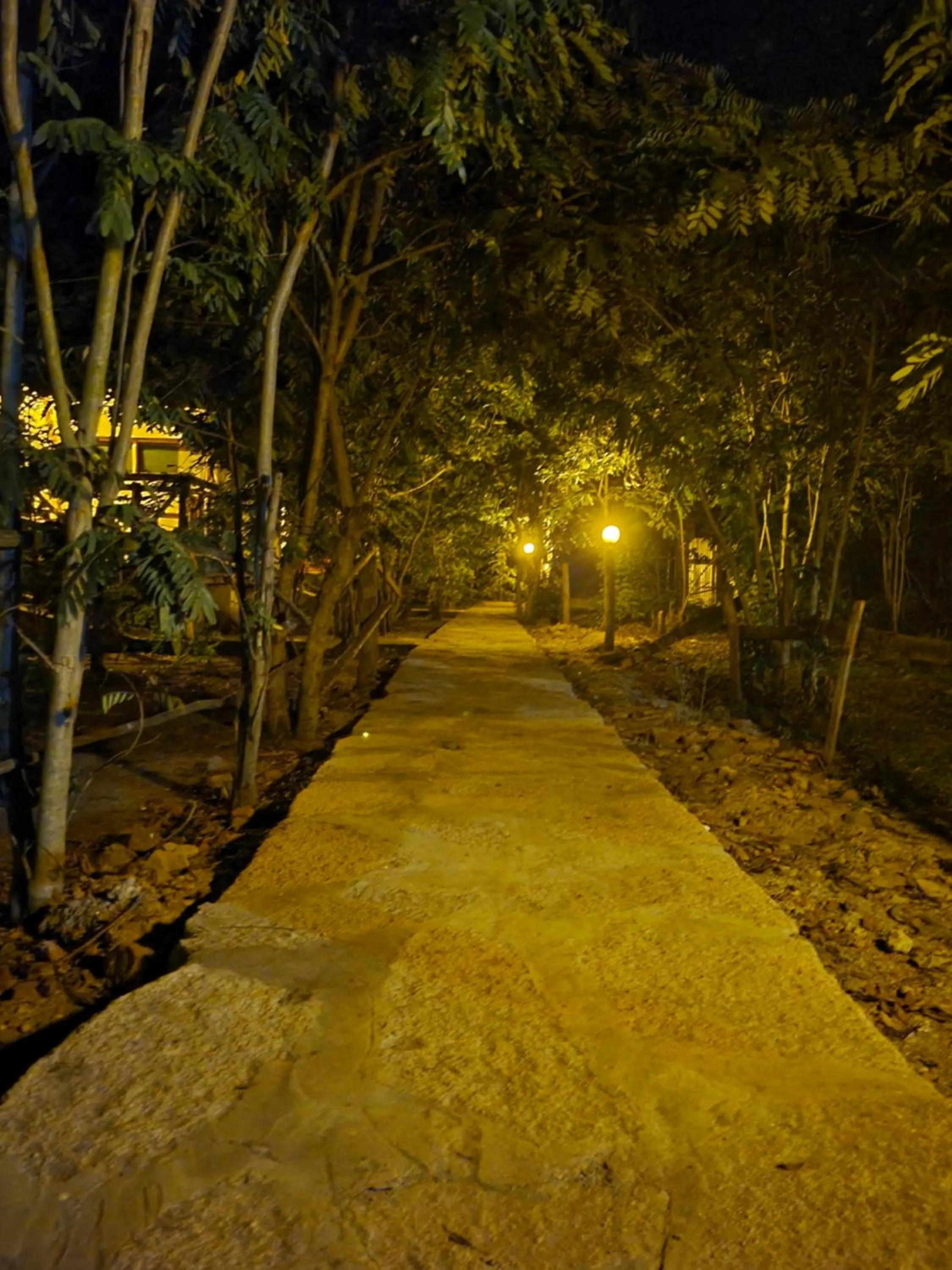 Night in Songbird Safari Lodge & Campsite