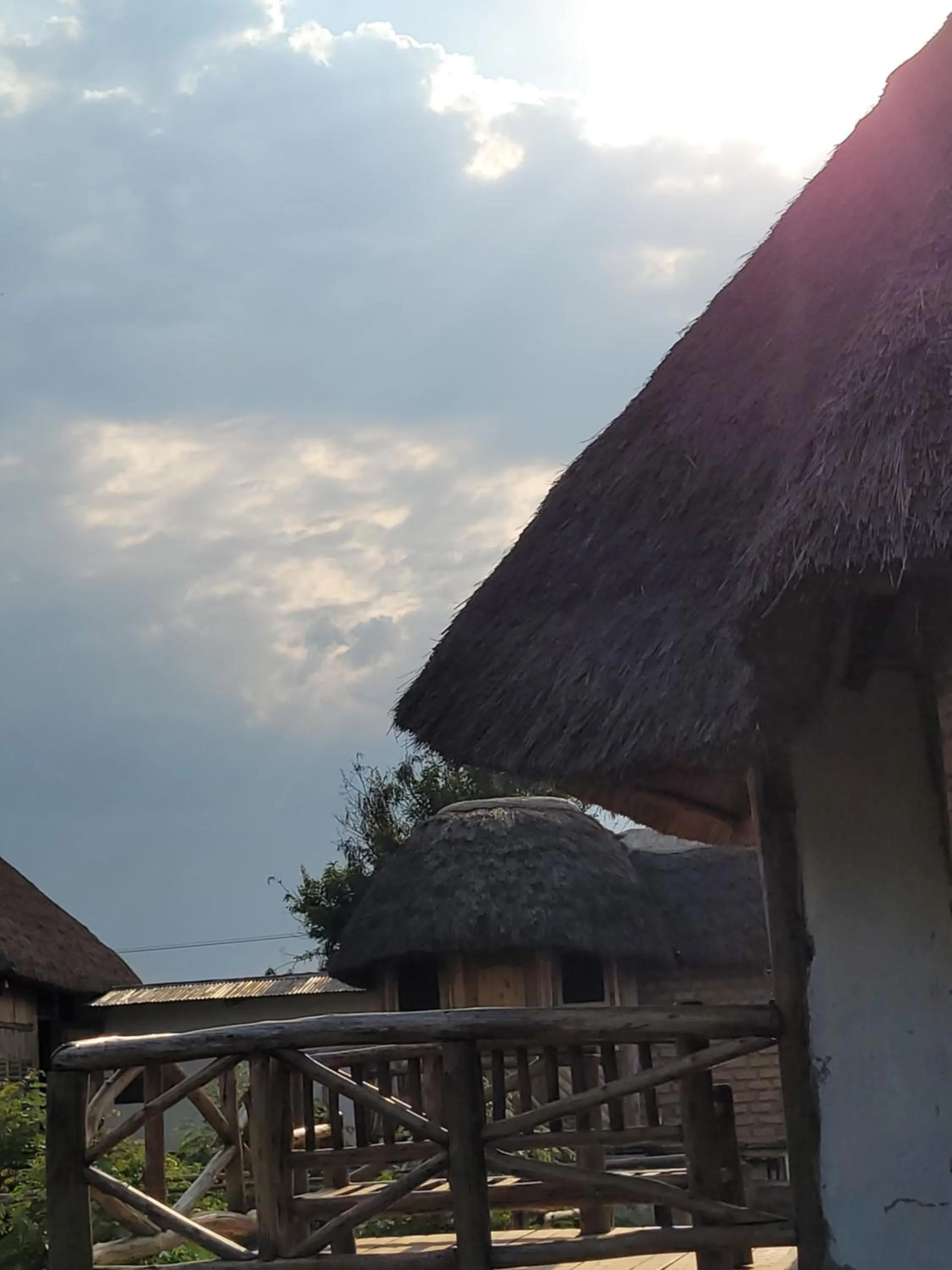 Day in Songbird Safari Lodge & Campsite