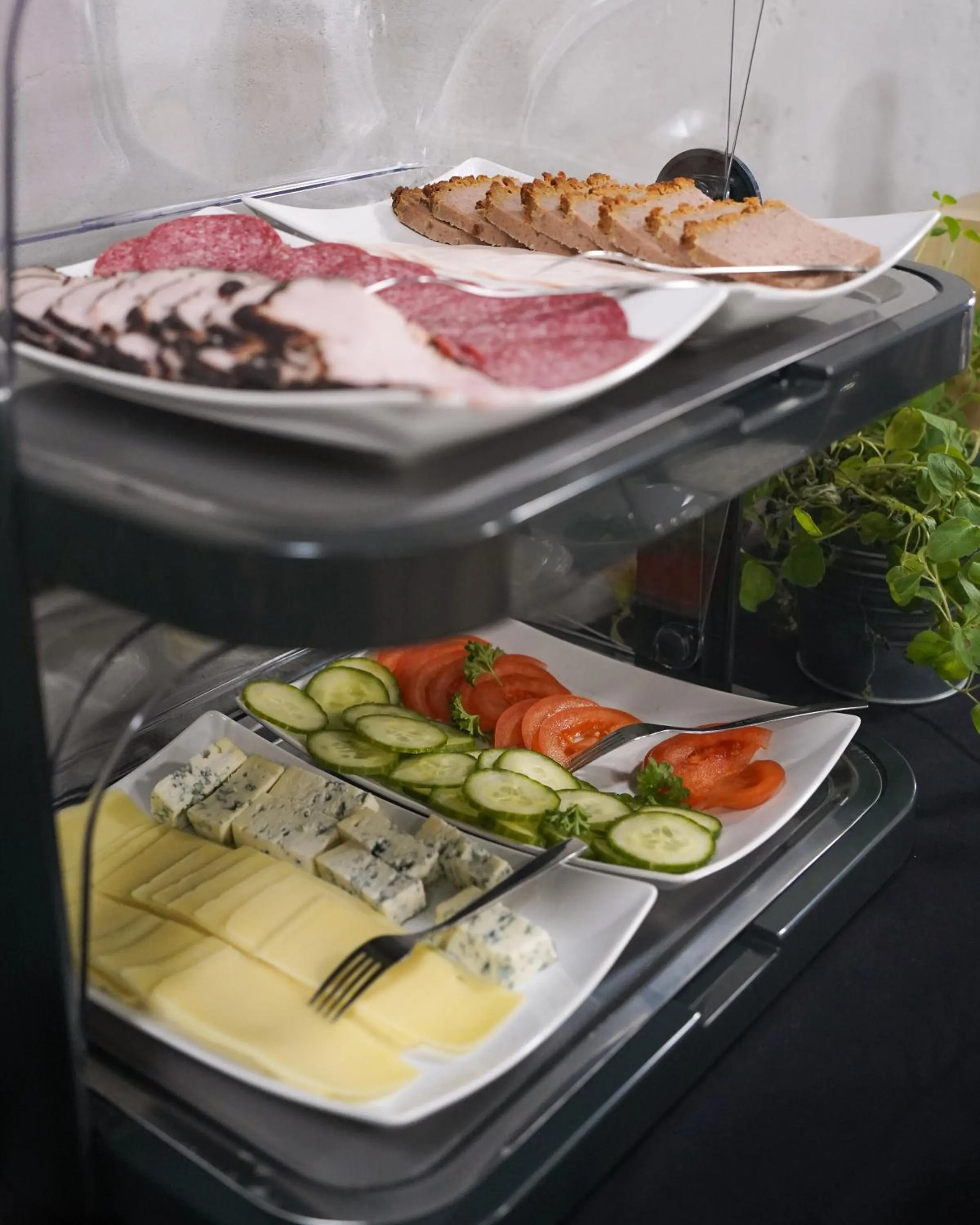 Food and drinks in City Center Rooms Piotrkowska 91